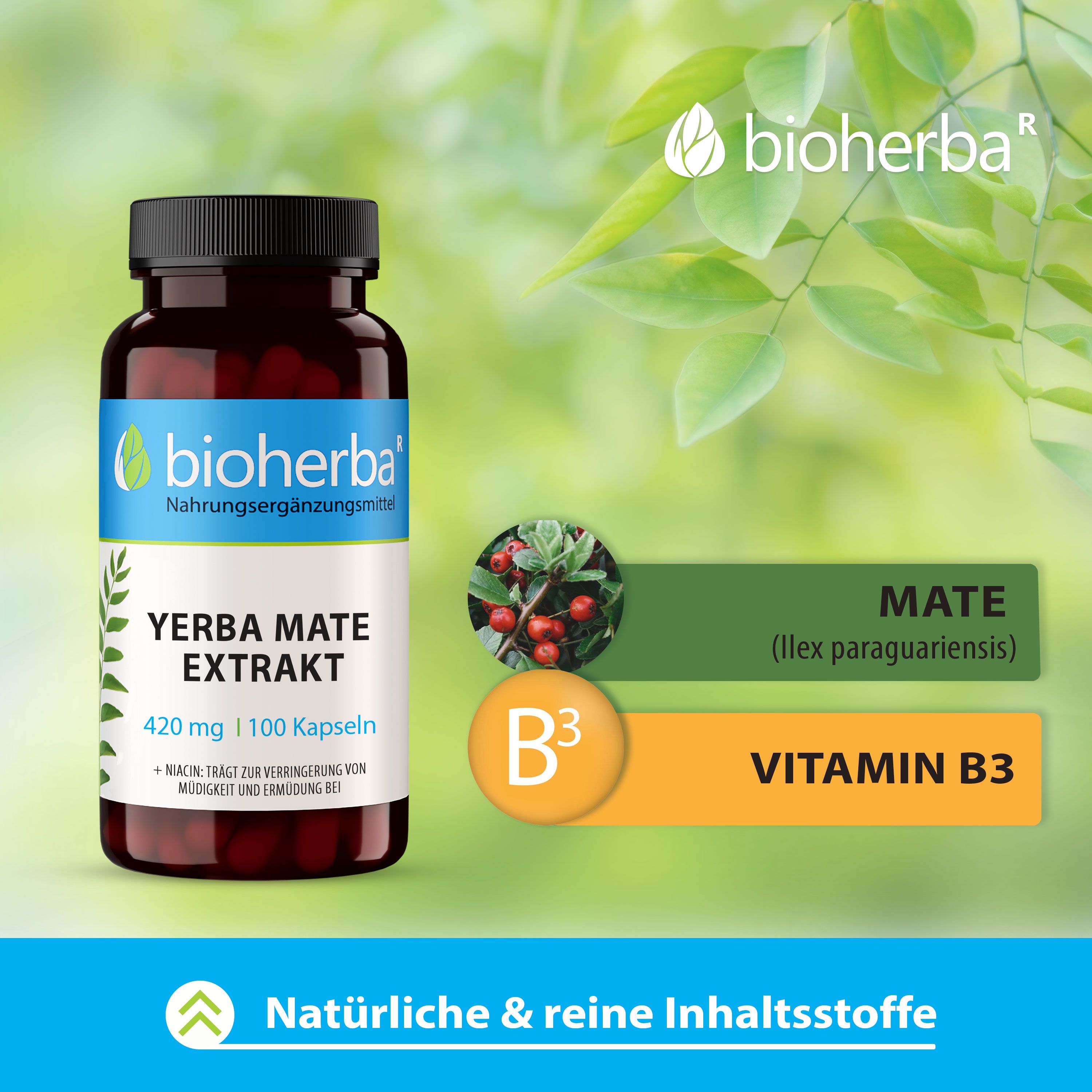 Produktflasche mit Logo und Produktnamen. Zusätzliche Informationen zu Mate und Vitamin B3.