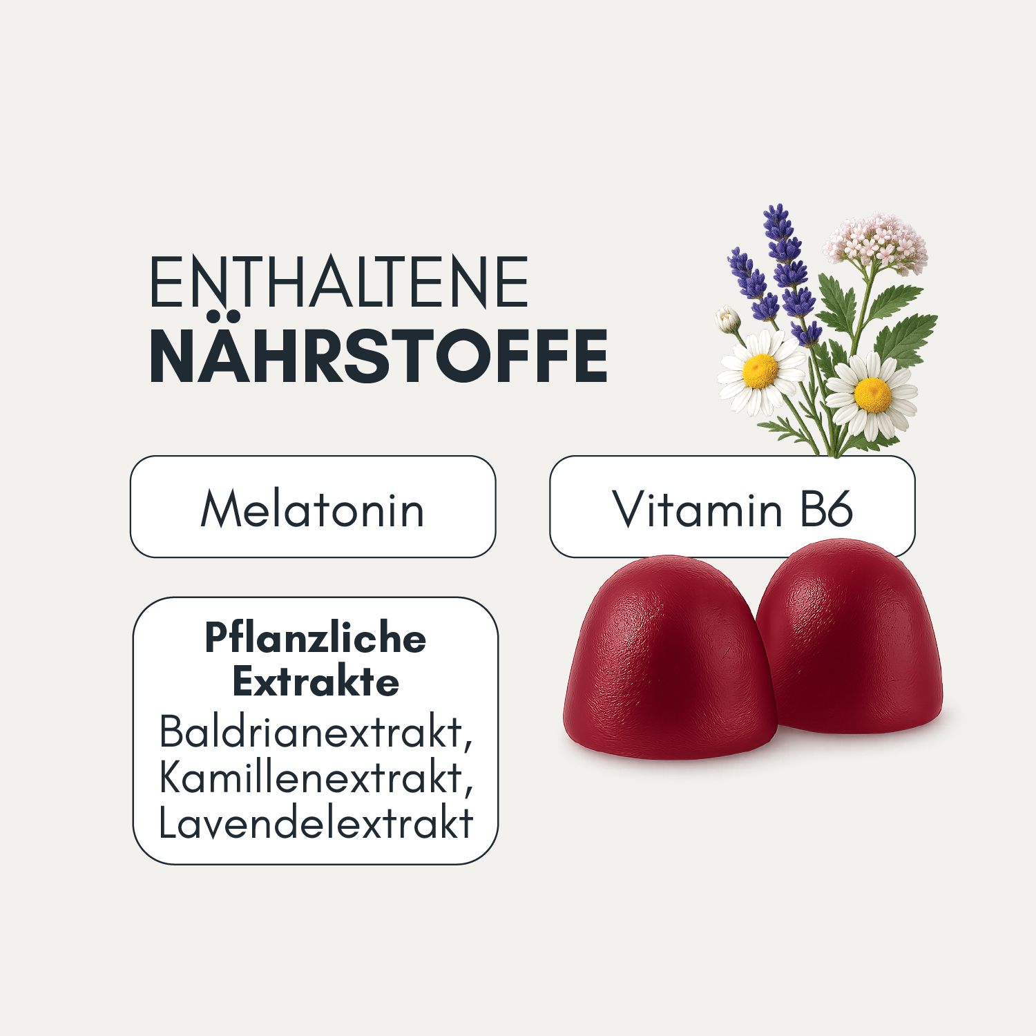 Zwei rote Gummibärchen. Enthält Melatonin, Vitamin B6 und pflanzliche Extrakte: Baldrian, Kamille, Lavendel.