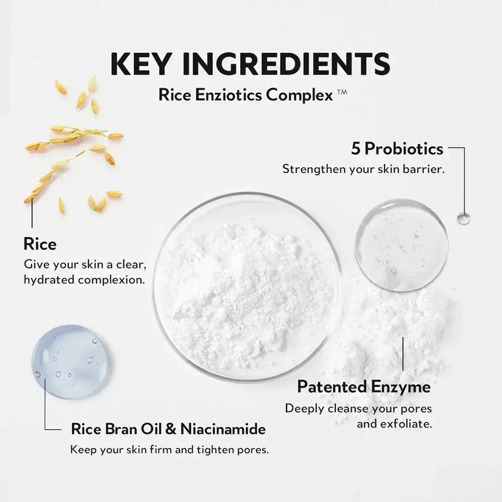 Grafik mit Schlüsselzutaten des TIRTIR Hydro Boost Enzyme Reinigungsbalsams: Reis, 5 Probiotika, patentiertes Enzym.