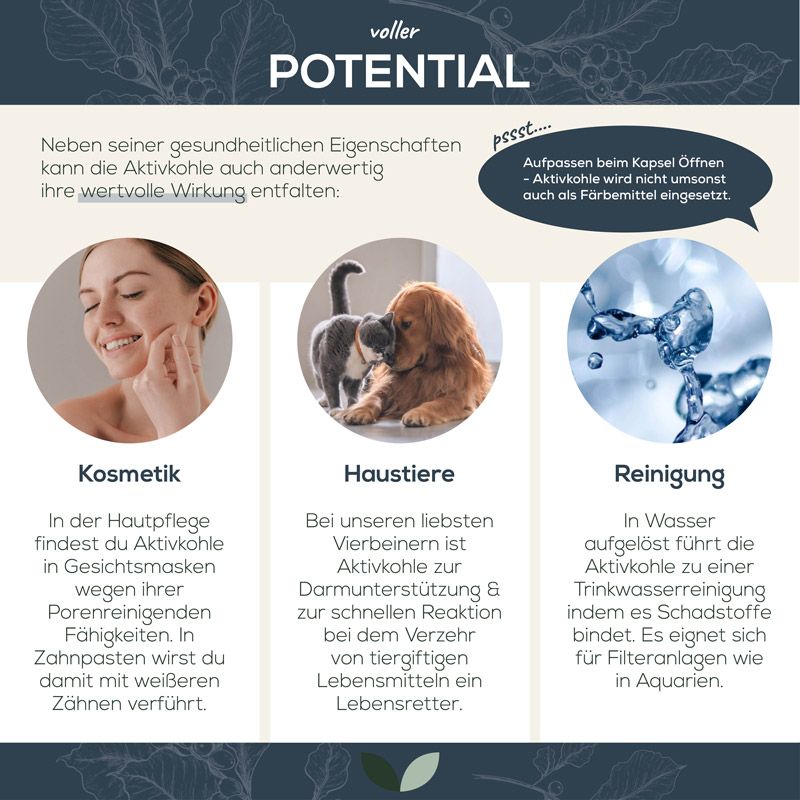 Infografik mit Anwendungsbeispielen für Aktivkohle: Kosmetik, Haustiere, Reinigung. Text: Aktivkohle für Gesicht, Tiere, Aquarien.