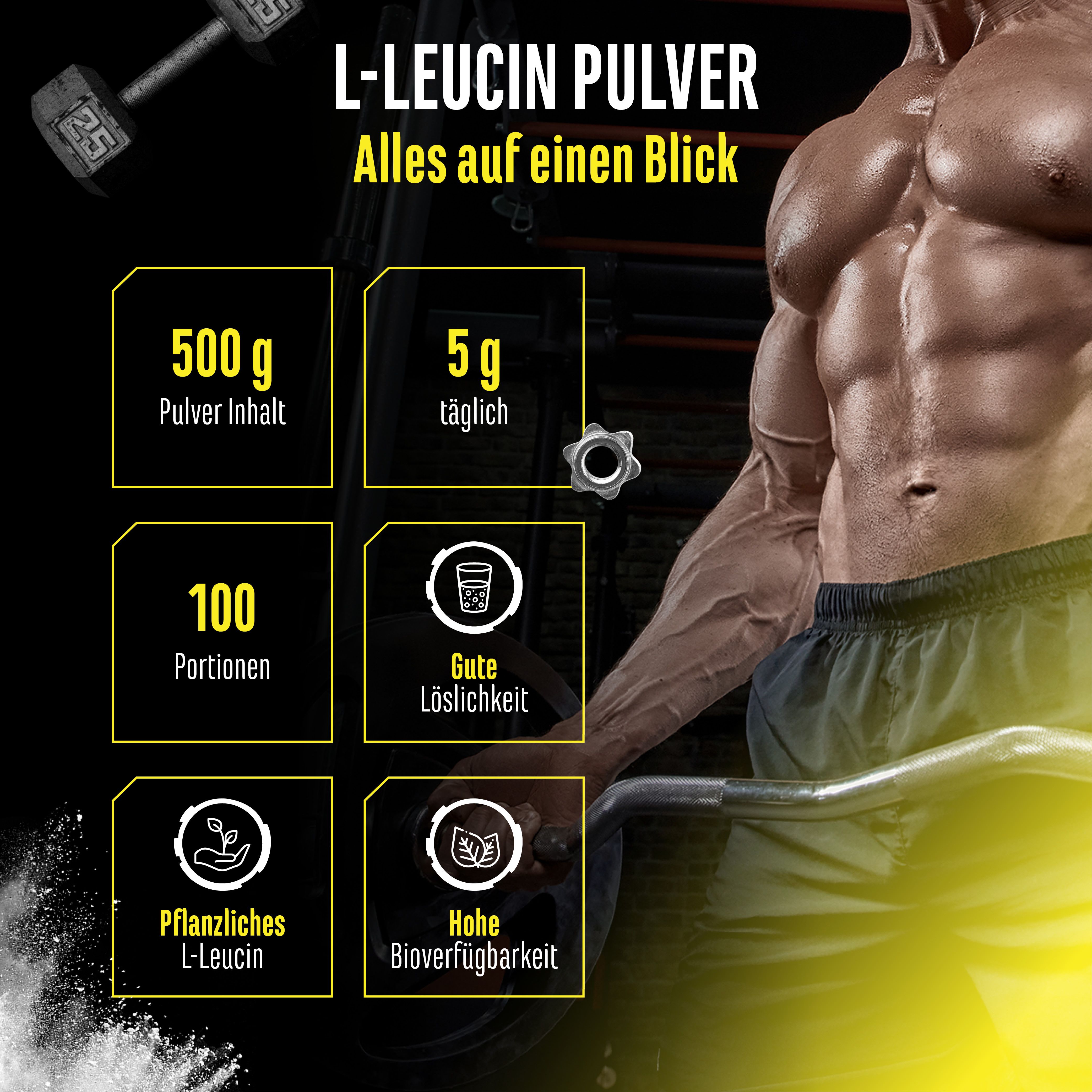 Infografik zu L-Leucin Pulver. Enthält Informationen zu 500g Inhalt, 5g Tagesdosis, 100 Portionen, gute Löslichkeit, etc.