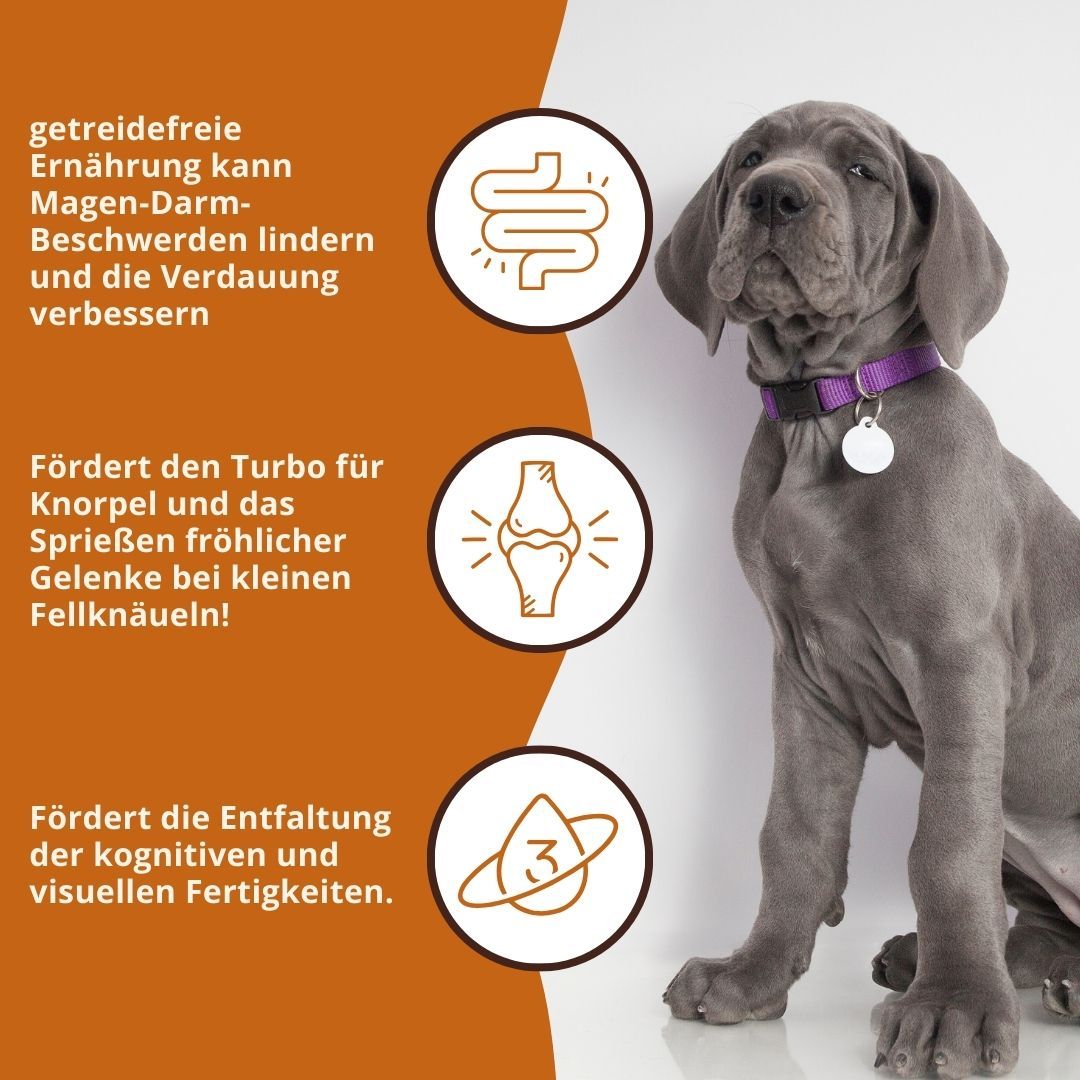 Welpen-Futtertabelle nach Gewicht und Alter. Mit Lachs.