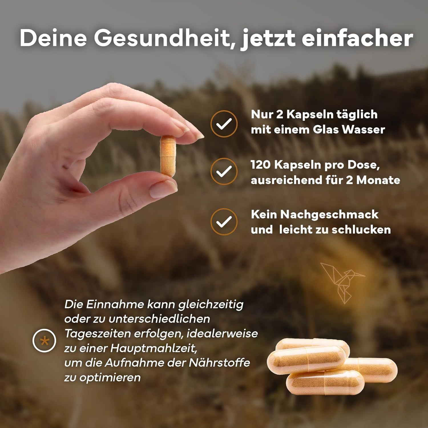 SEVENS NUTRITION Ashwagandha Kapseln