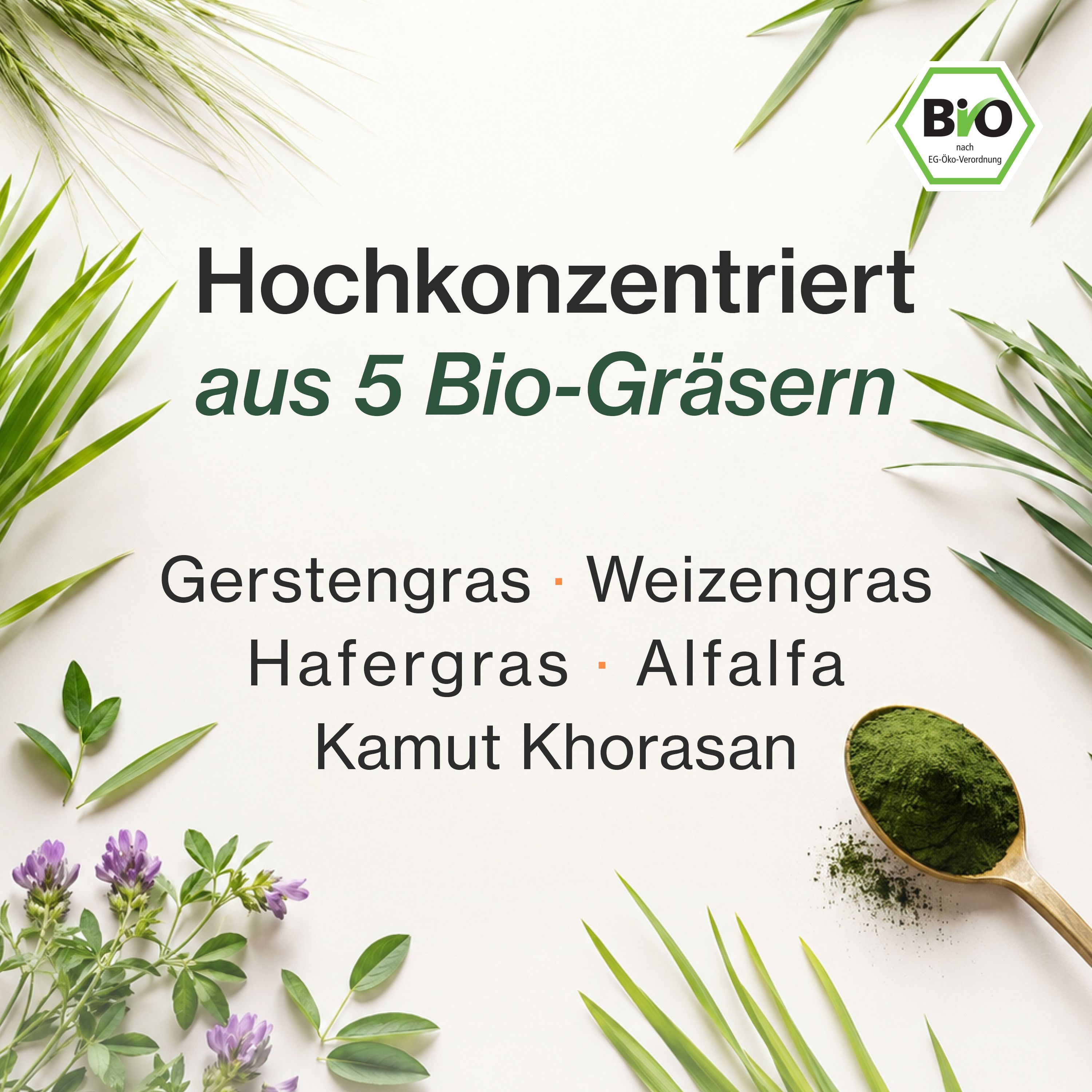 Hochkonzentriert aus 5 Bio-Gräsern: Gerstengras, Weizengras, Hafergras, Alfalfa, Kamut Khorasan.