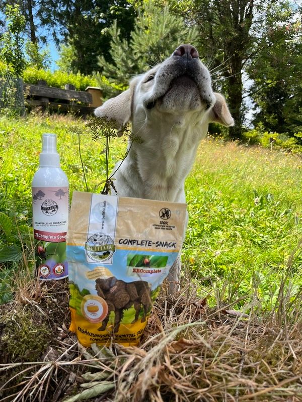 Hund im Gras neben einer Sprühflasche und einem Beutel COMPLETE-SNACK. Hintergrund: Natur.