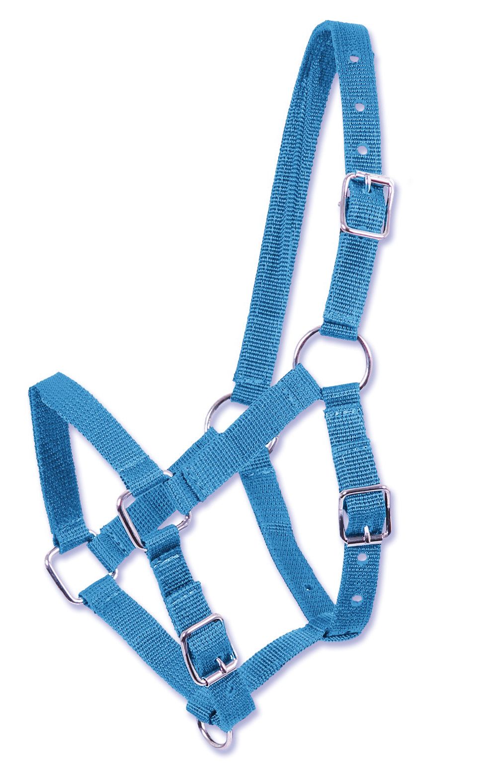 Blaues Fohlenhalfter mit silberfarbenen Schnallen und Ringen. Aus gewebtem Material.