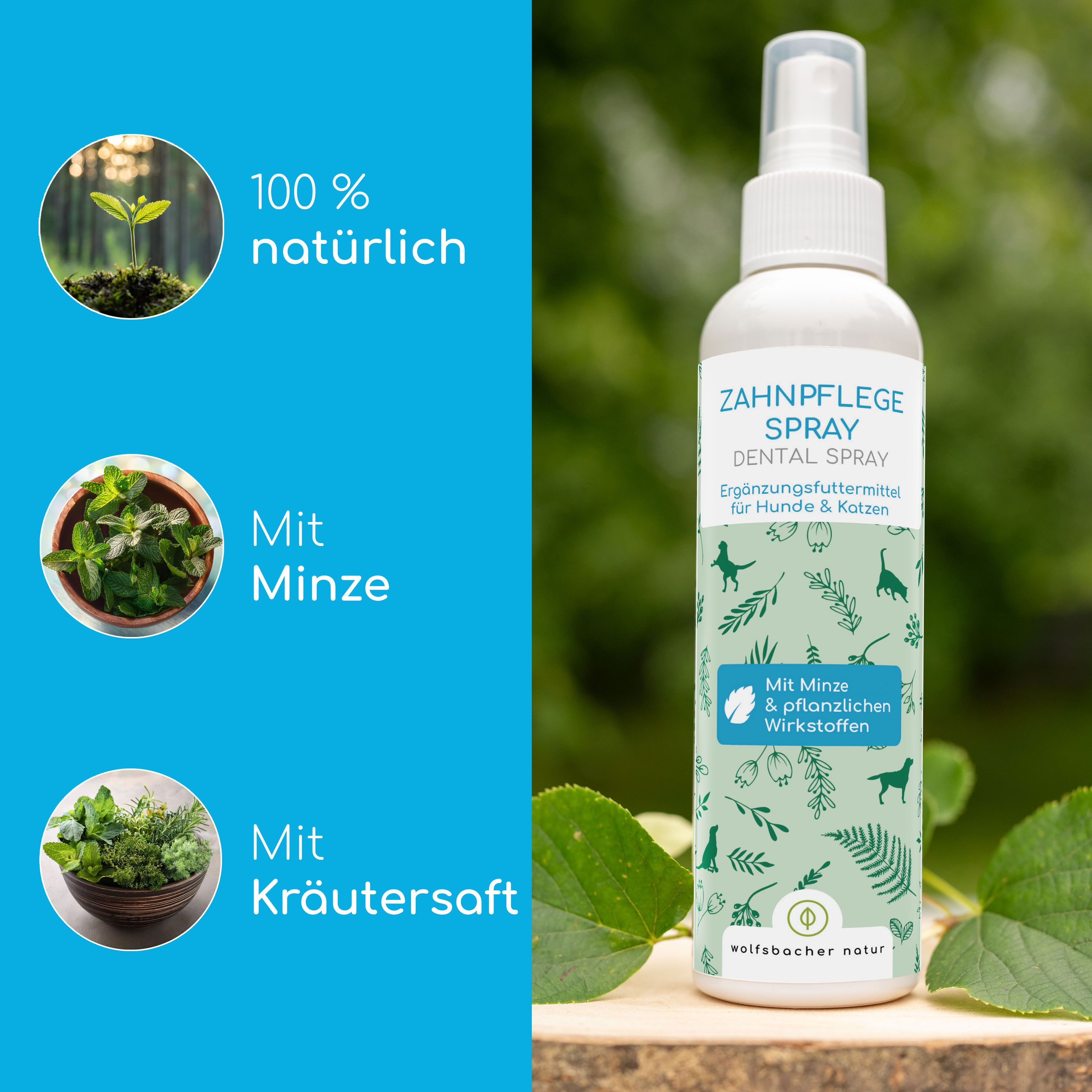 Zahnplege Spray, weißes Fläschchen. Mit Minze & pflanzlichen Wirkstoffen. 100% natürlich. Mit Kräutersaft. Mit Minze. Hintergrund: blau mit grünen Elementen.