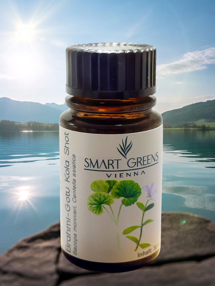 Brahm-Gotu Kola Shot-Flasche vor Landschaft. Braune Glasflasche mit schwarzem Deckel. Etikett mit Produktnamen, Illustrationen und Text.