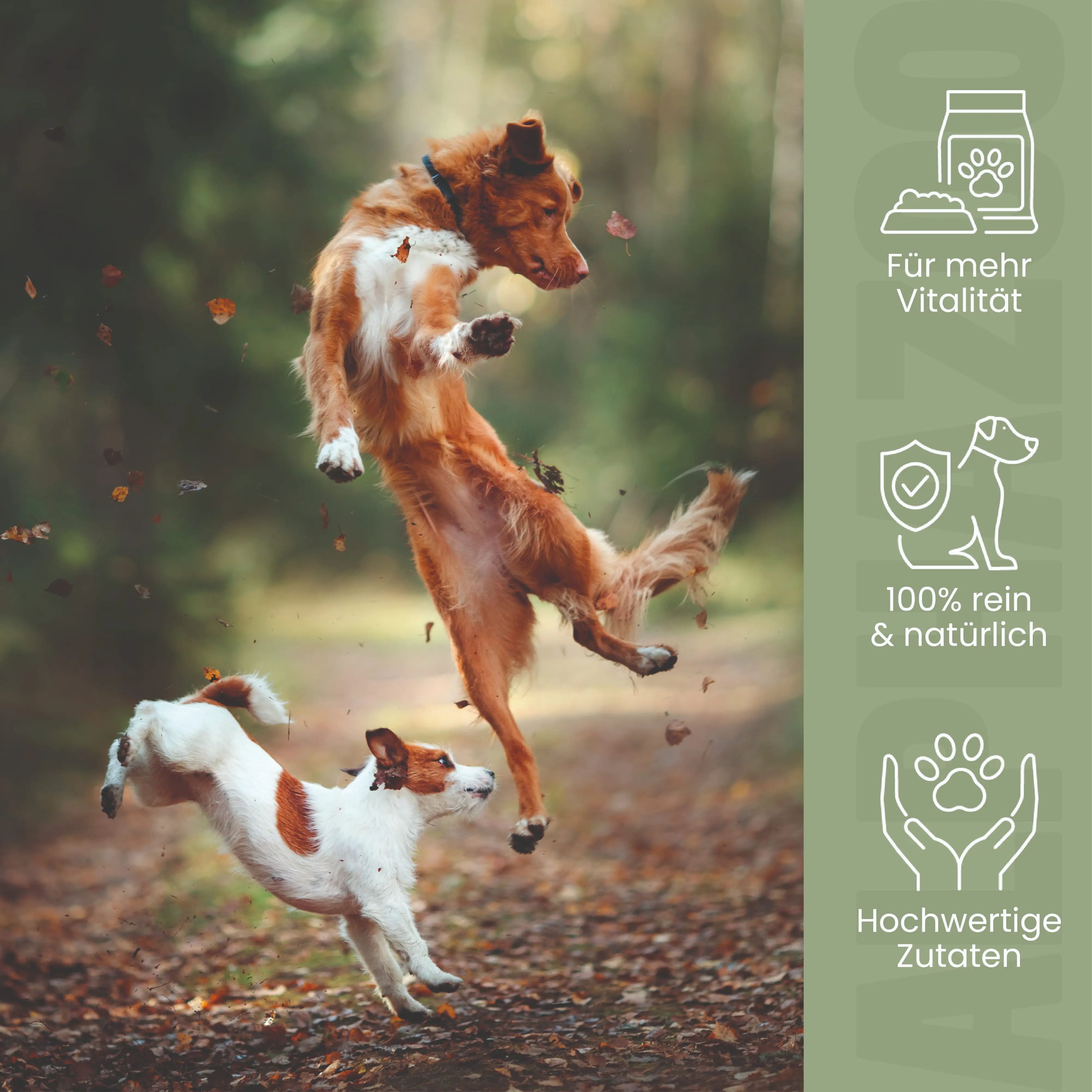 Zwei Hunde springen im Wald. Text: Für mehr Vitalität, 100% rein & natürlich, hochwertige Zutaten.