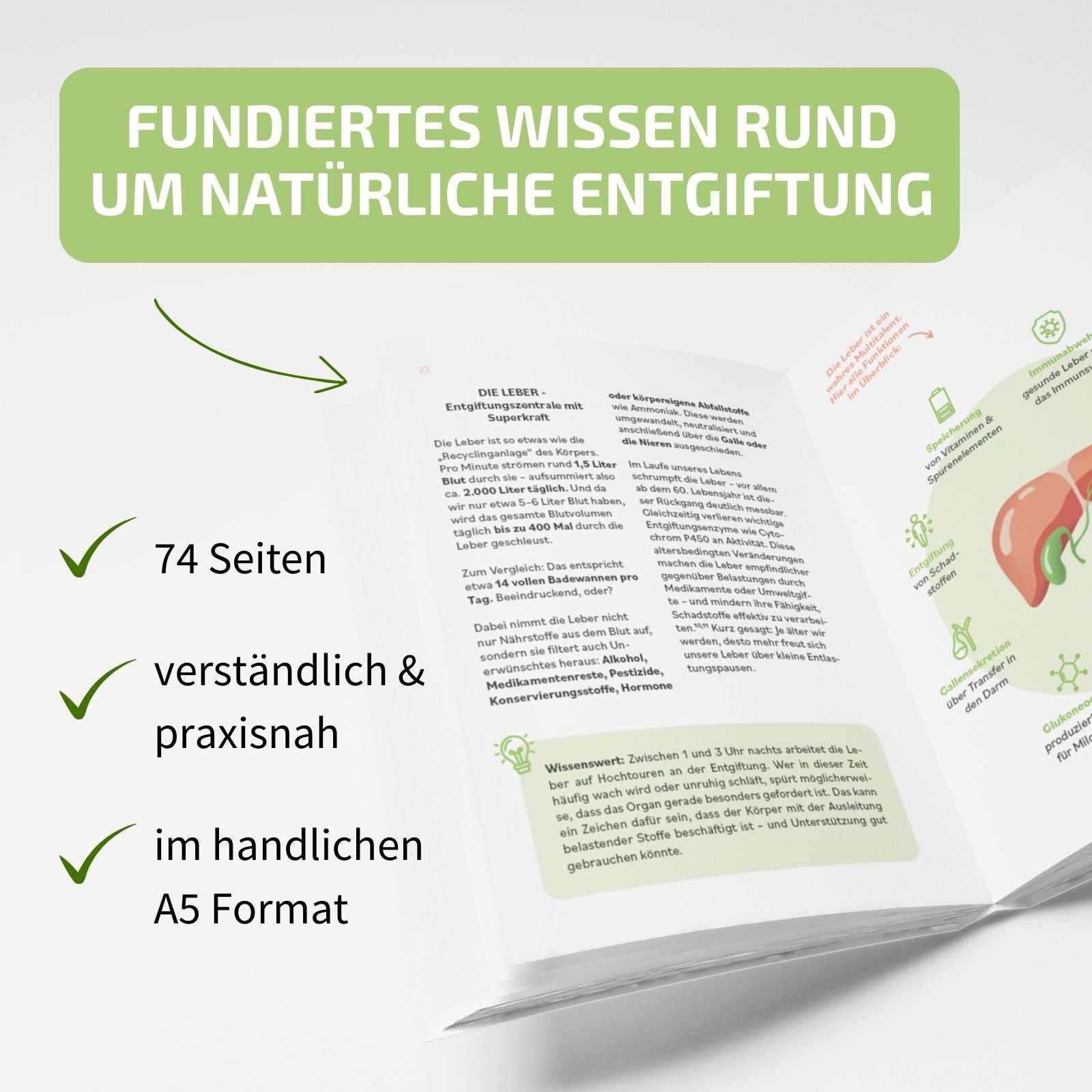Offenes Buch mit Text und Illustrationen. Text: 74 Seiten, verständlich & praxisnah, im handlichen A5 Format.