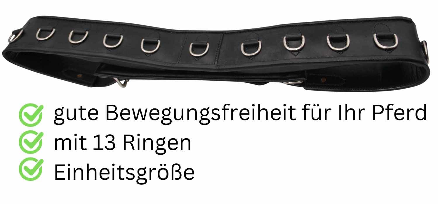 Schwarzer Longiergurt mit 13 Ringen. Text: gute Bewegungsfreiheit, Einheitsgröße.