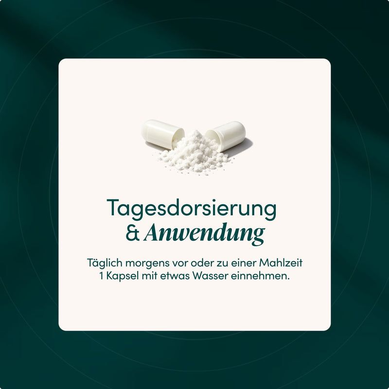 Geöffnete Kapsel mit Pulver. Tägliche Dosierung und Einnahme: 1 Kapsel morgens mit Wasser.