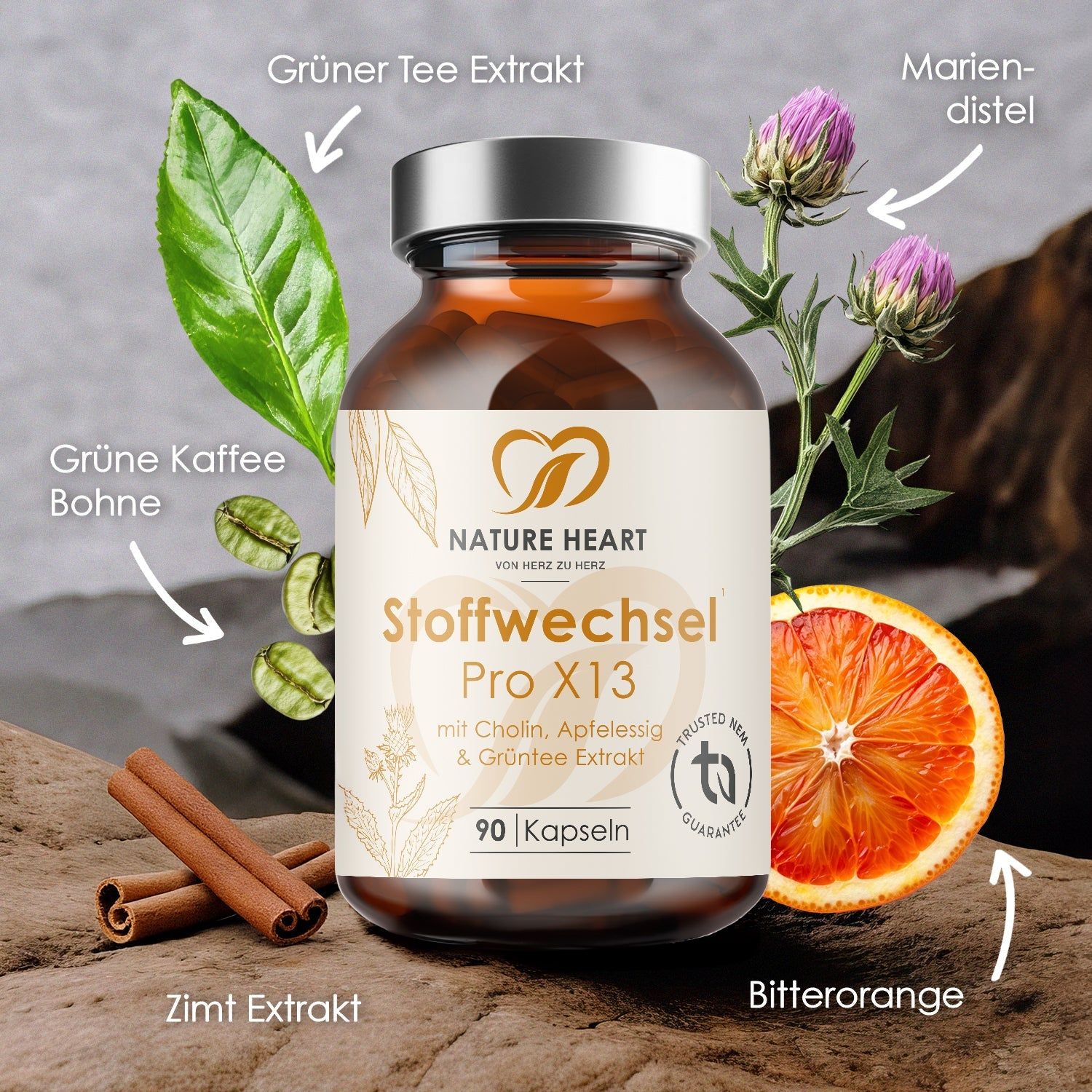 Braune Flasche mit Kapseln, umgeben von Zutaten: Zimt, Bitterorange, Mariendistel, Grüntee, grüne Kaffeebohne. Aufschrift: Stoffwechsel Pro X13.