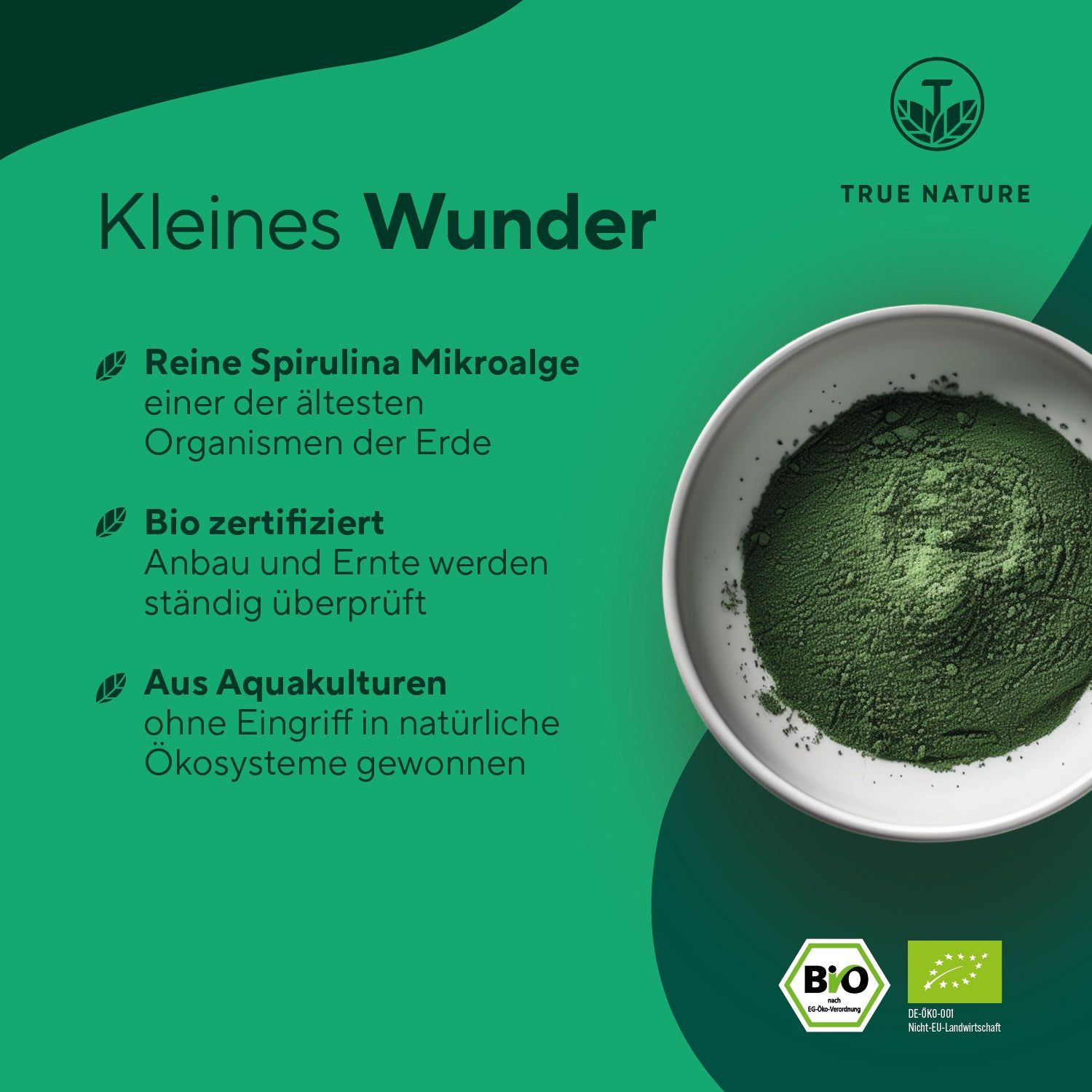 Schale mit grünem Pulver. Bio-Zertifizierung. Reine Spirulina Mikroalge. Aus Aquakulturen gewonnen.