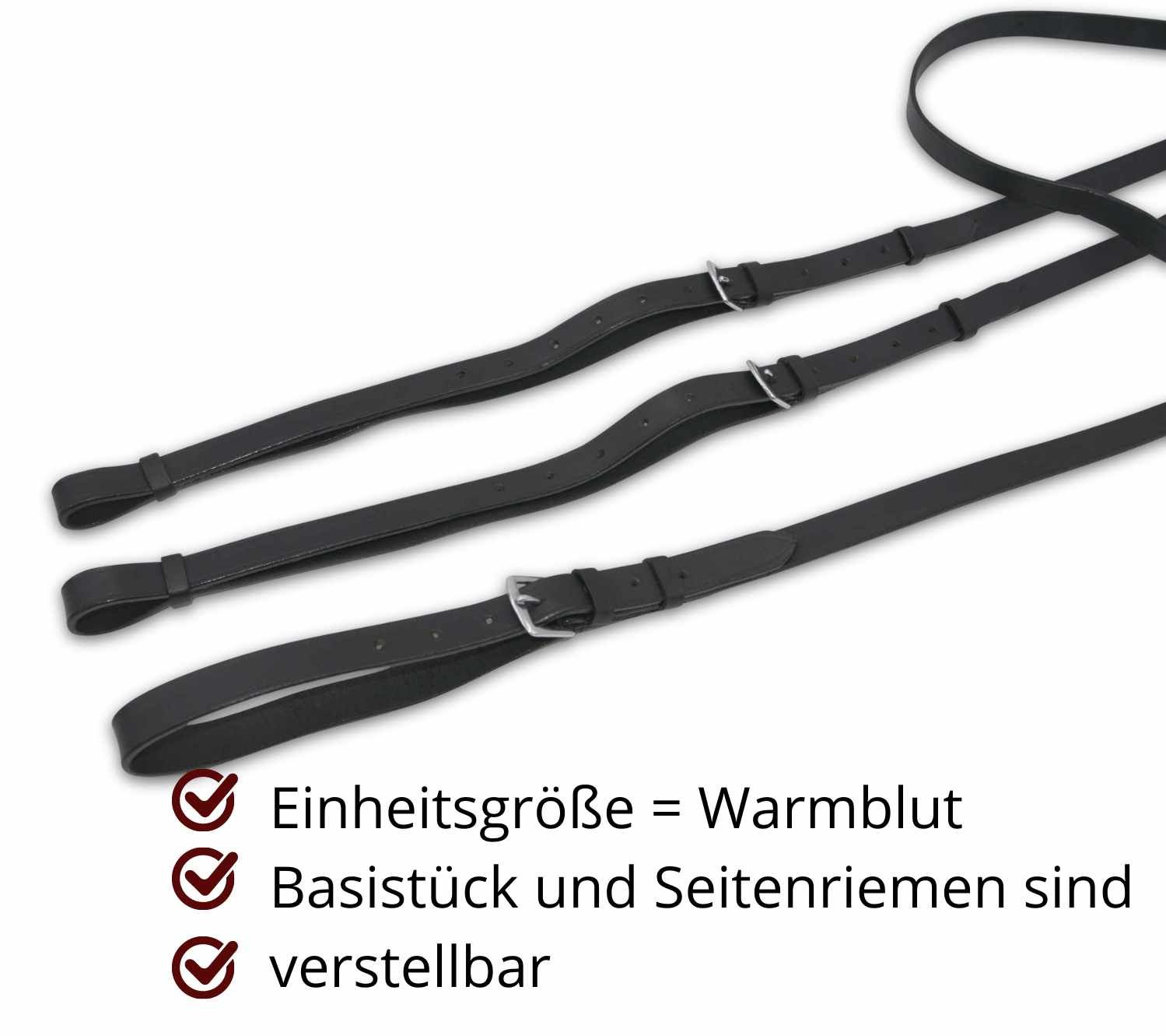 Drei schwarze Lederriemen mit Schnallen. Einheitsgröße Warmblut. Basisstück und Seitenriemen verstellbar.