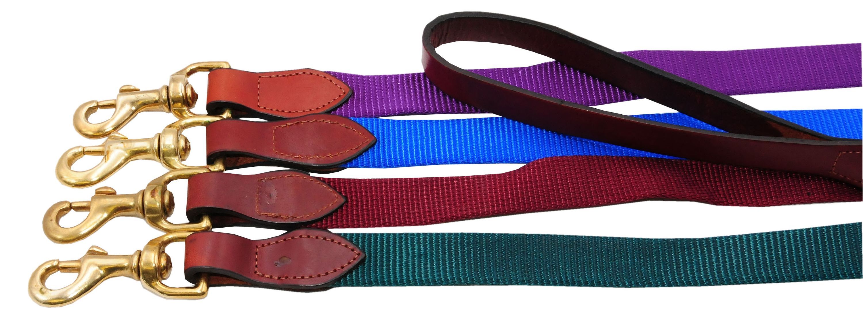 Vier Hundeleinen mit Karabinerhaken. Verschiedene Farben: rot, blau, grün, lila. Lederdetails.