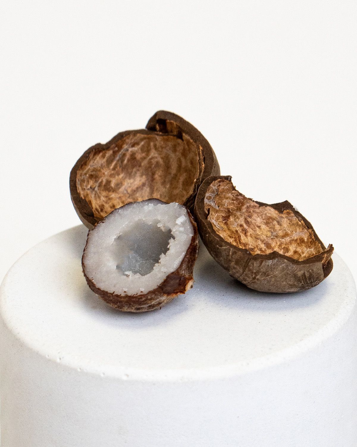Mini-Kokosnuss, aufgeschnitten, mit weißem Fruchtfleisch. Daneben Schalenstücke. Auf weißem Podest.
