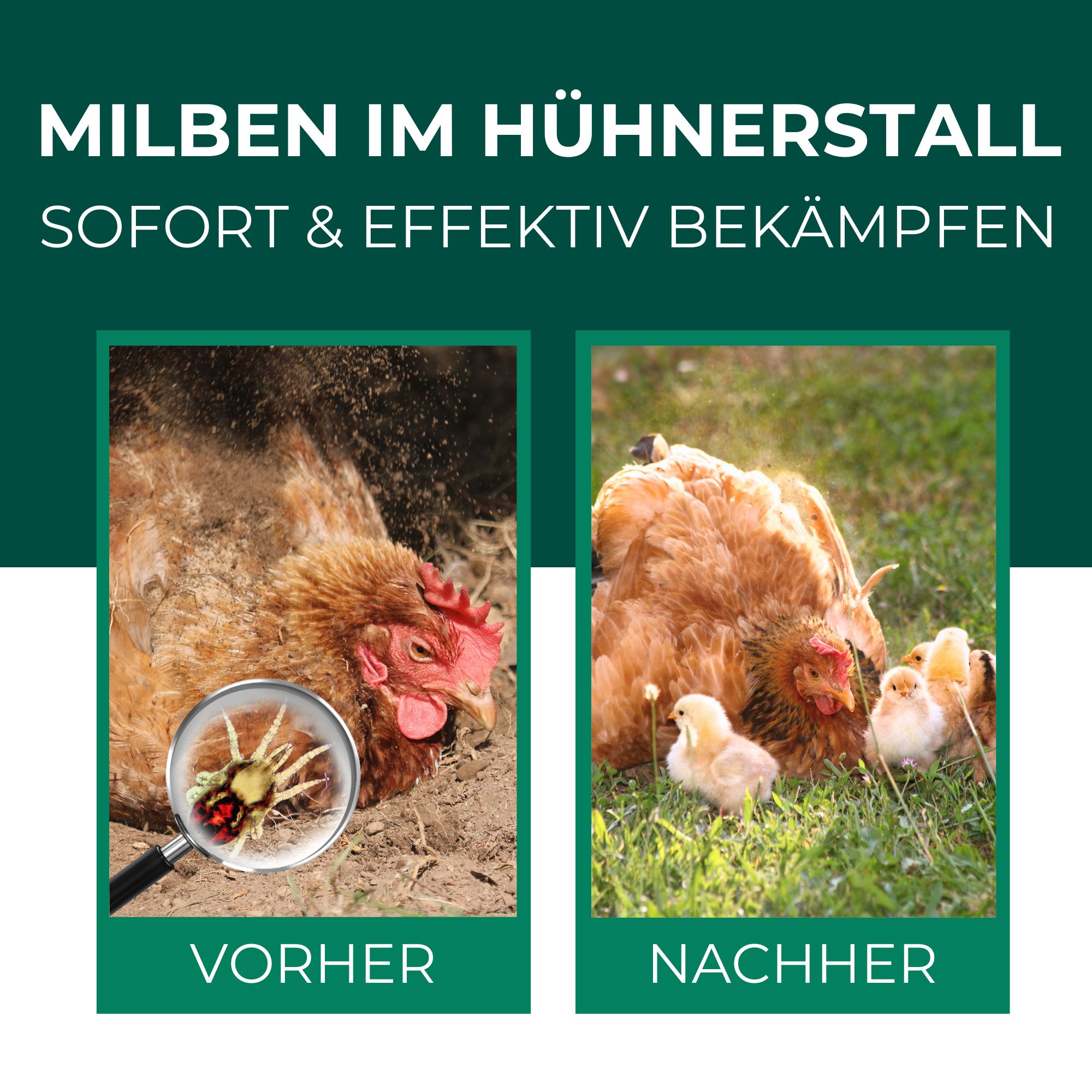 SILBERKRAFT Milbenspray Hühner