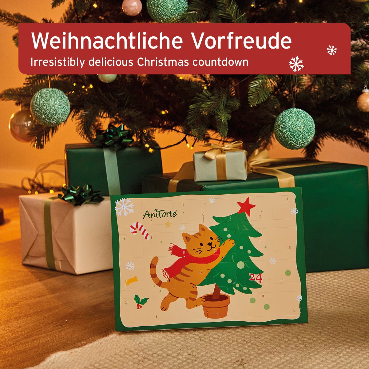 Adventskalender für Katze 2025. Grün umrandet, mit Katze, Weihnachtsbaum und Zahlen. Marke AniForte. Geschenkboxen im Hintergrund.