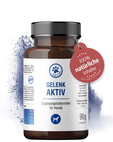 Braune Tablettenflasche mit schwarzem Deckel. Rotes Anhängeetikett mit Text. Aufschrift: GELENK AKTIV, Ergänzungsfuttermittel für Hunde. 90g, 60 Tabletten.