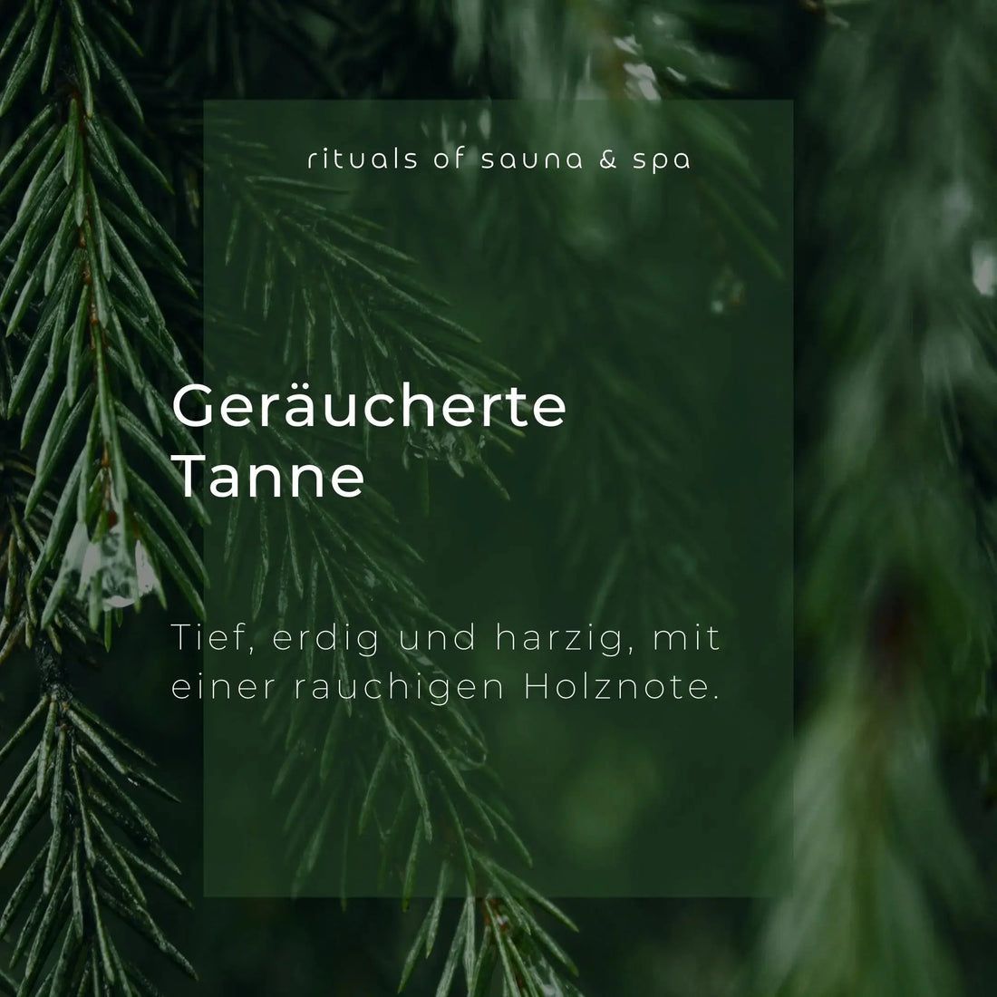 Text auf grünem Hintergrund: Geräucherte Tanne. Tief, erdig und harzig, mit einer rauchigen Holznote. Hintergrund: Tannenzweige.