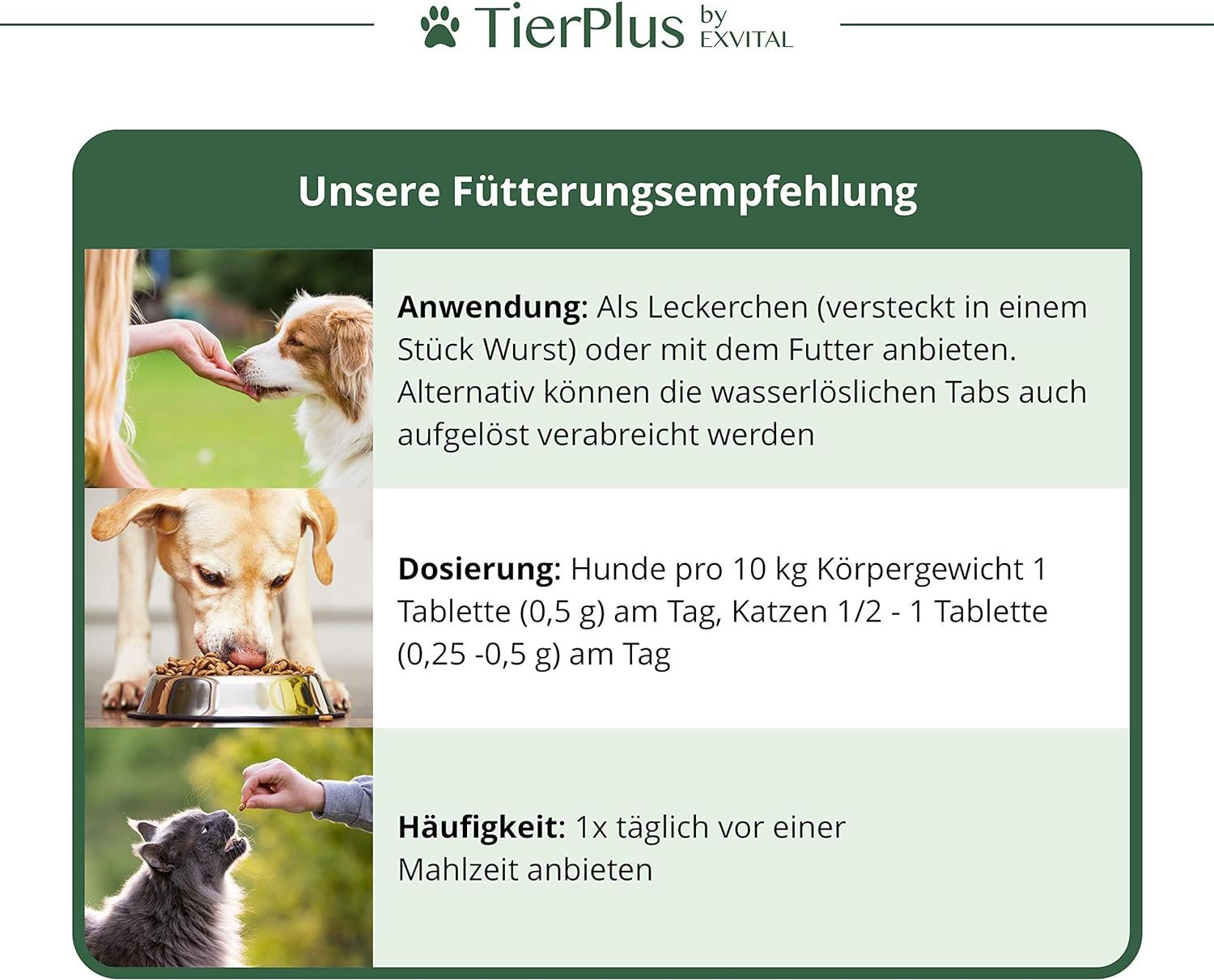 Fütterungsempfehlung für EXVital Vitamin B Komplex Tabletten für Hunde & Katzen.