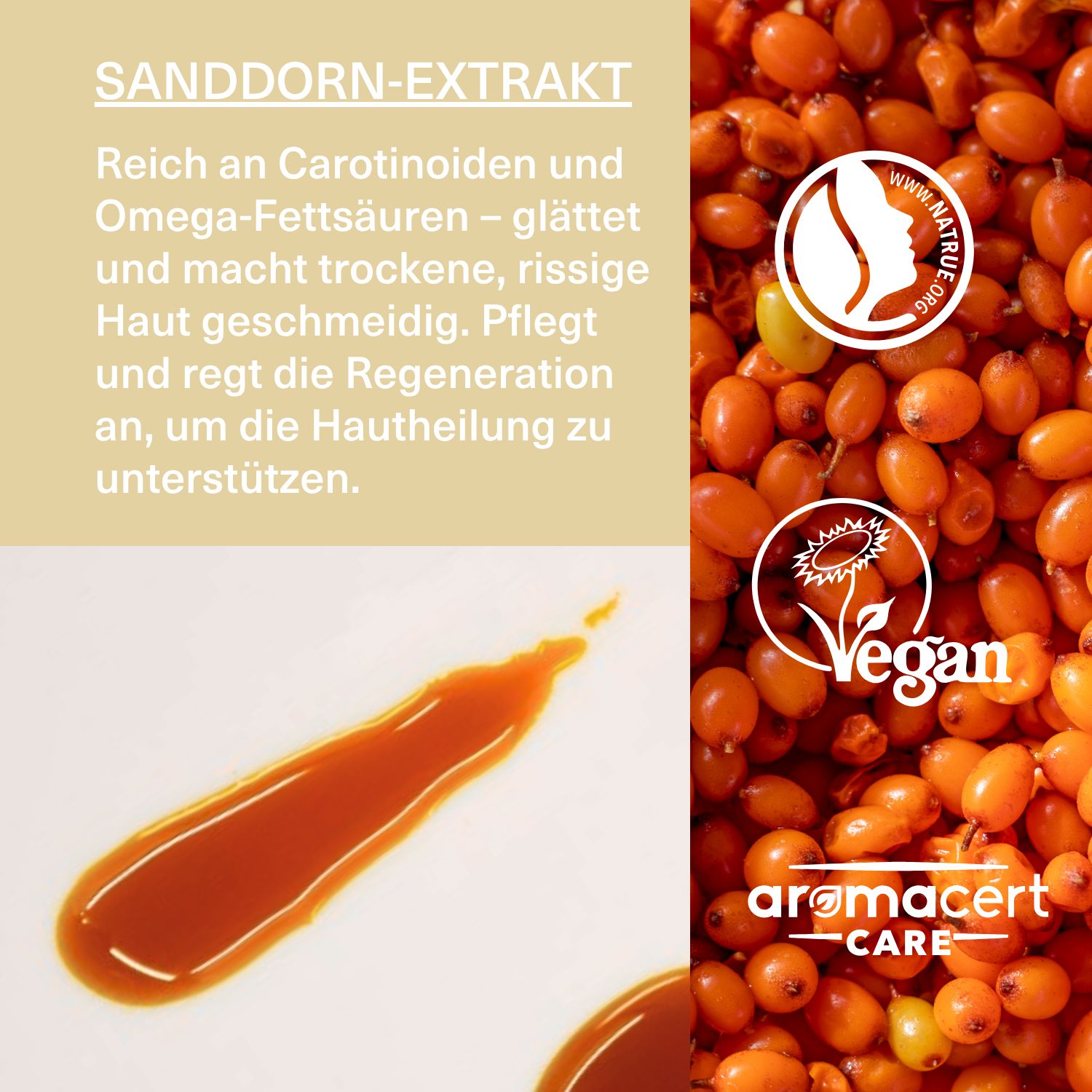Sanddorn-Extrakt, Text und Logos. Text: Reich an Carotinoiden und Omega-Fettsäuren. Vegan-Siegel. Aromacert-Care-Logo.