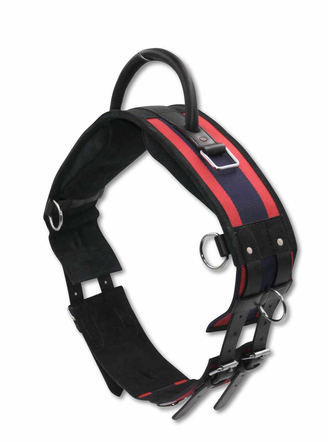 Longiergurt mit Handgriff, schwarz mit roten und blauen Streifen, 6 Ringe, Lederriemen.