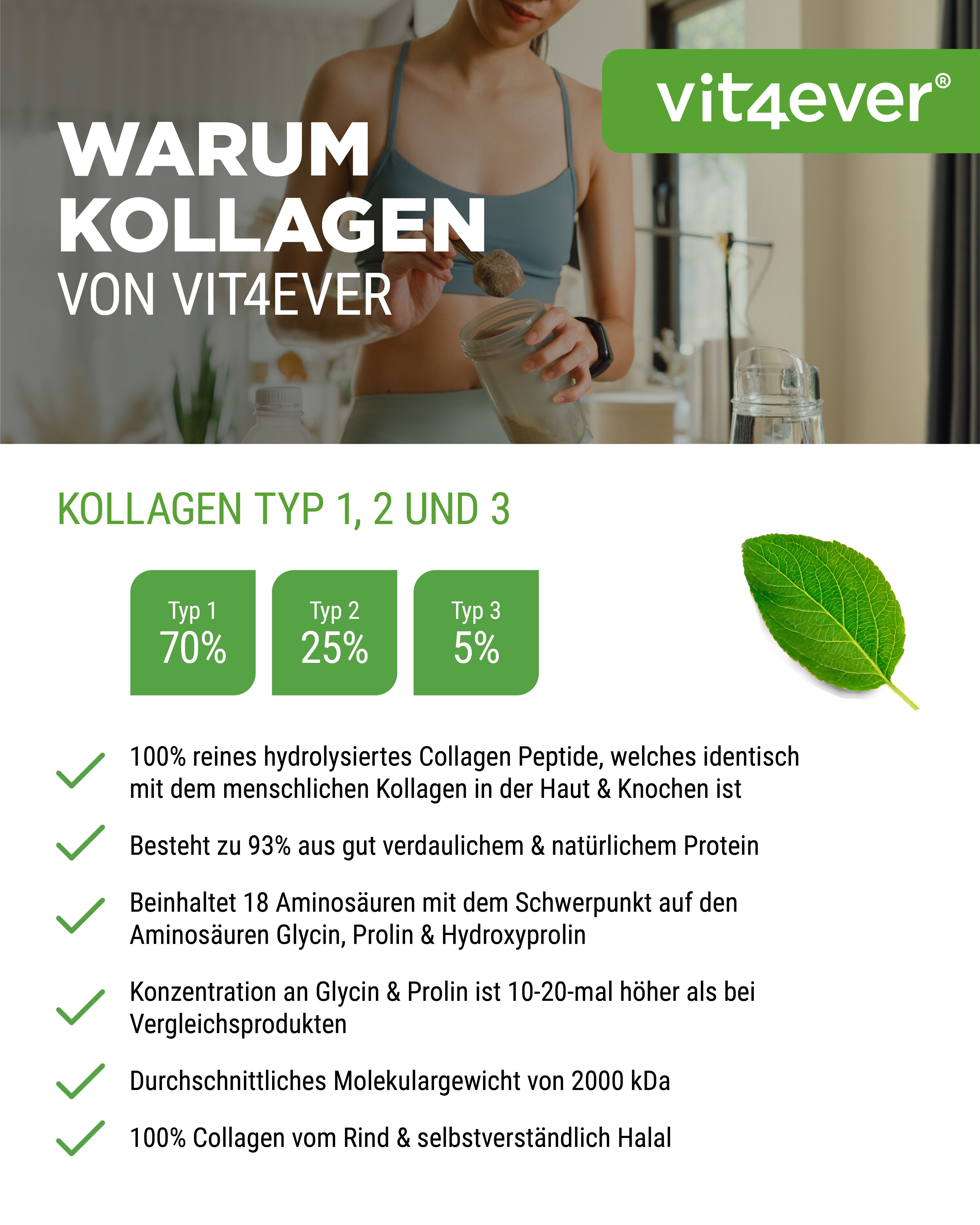 Grafik mit Informationen zu Kollagen Typen 1, 2 und 3. 100% reines hydrolysiertes Kollagen Peptide. 18 Aminosäuren. 2000 kDa.