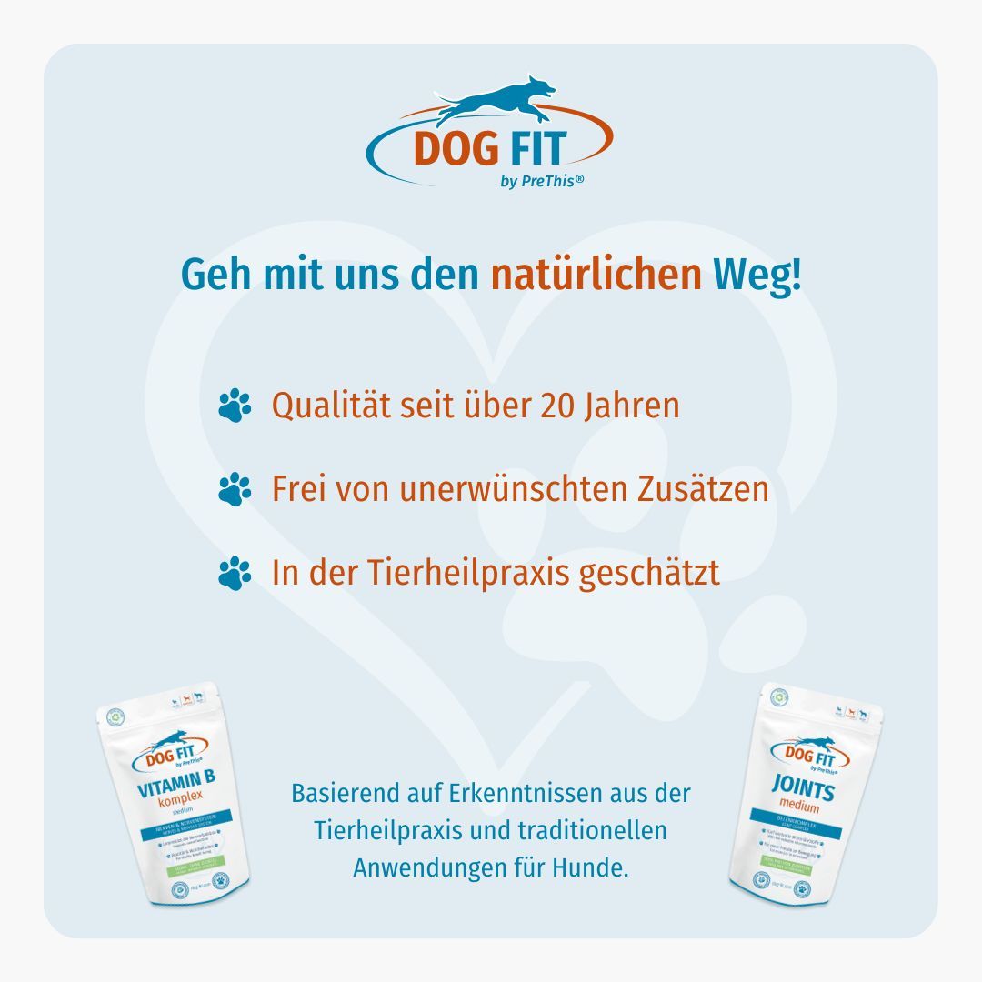 DOG FIT by PreThis® JOINTS & VITAMIN B Kombiset (medium)