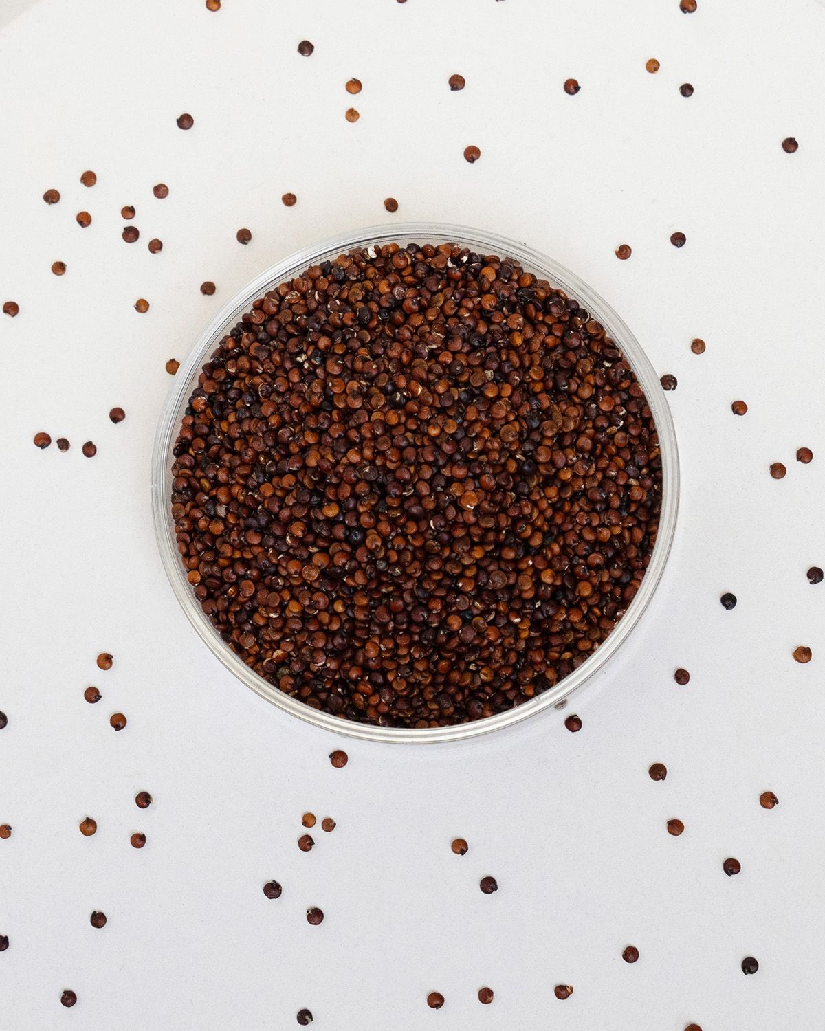 Rote Quinoa in einer Glasschale. Einige Körner liegen verstreut auf weißem Untergrund.