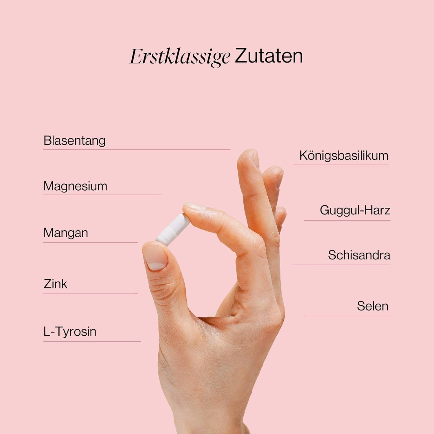 Hand hält eine Kapsel. Aufschrift: Erstklassige Zutaten. Auflistung von Inhaltsstoffen: Blasentang, Magnesium, Mangan, Zink, L-Tyrosin.