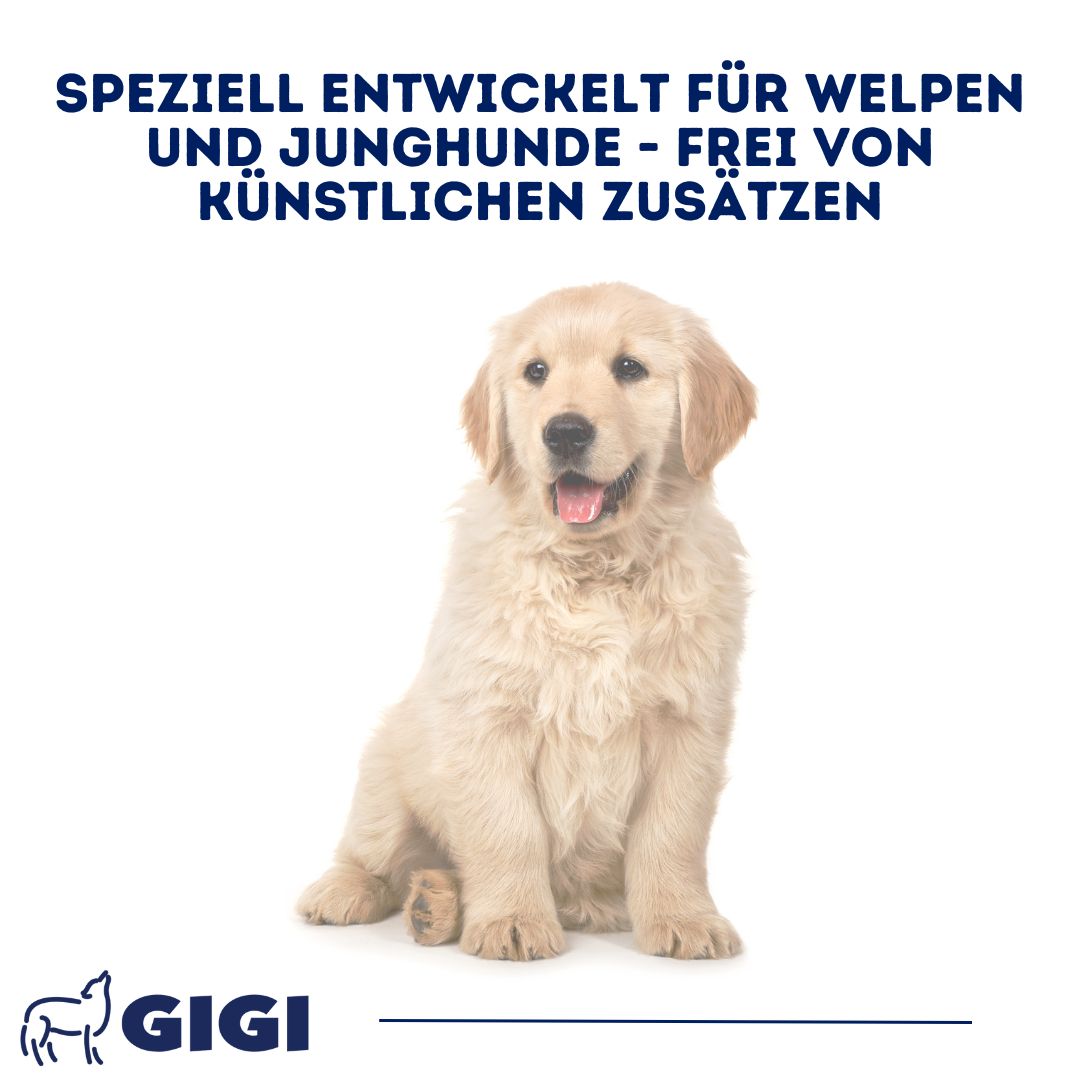 Goldener Retriever-Welpe auf weißem Hintergrund. Text: Speziell entwickelt für Welpen und Junghunde - frei von künstlichen Zusätzen.