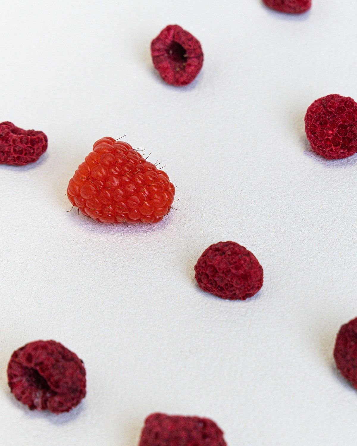 Einzelne gefriergetrocknete Himbeeren auf weißem Hintergrund. Die Früchte sind rot und unregelmäßig geformt.