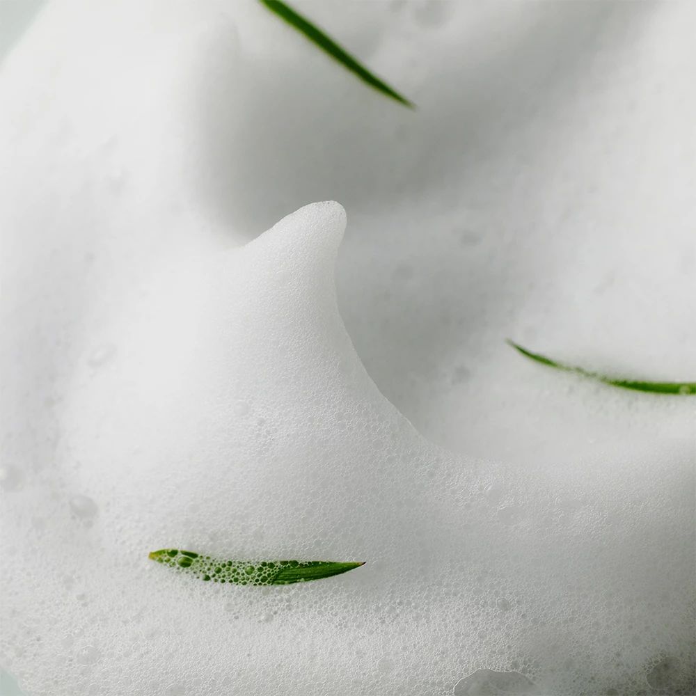 Nahaufnahme von weißem Schaum mit grünen Blättern. Textur des Schaums sichtbar.