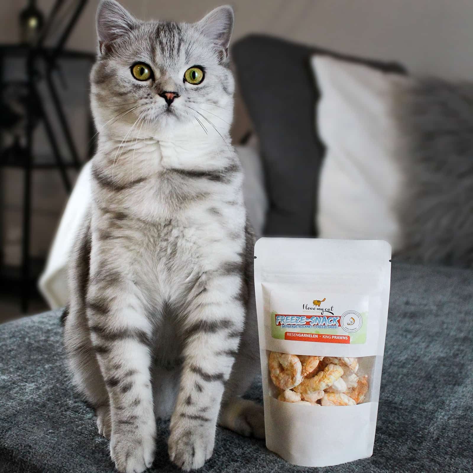 I love my cat Freeze-Snack für Katzen - Lachsfilet (gefriergetrocknet) 25 g - Shop Apotheke