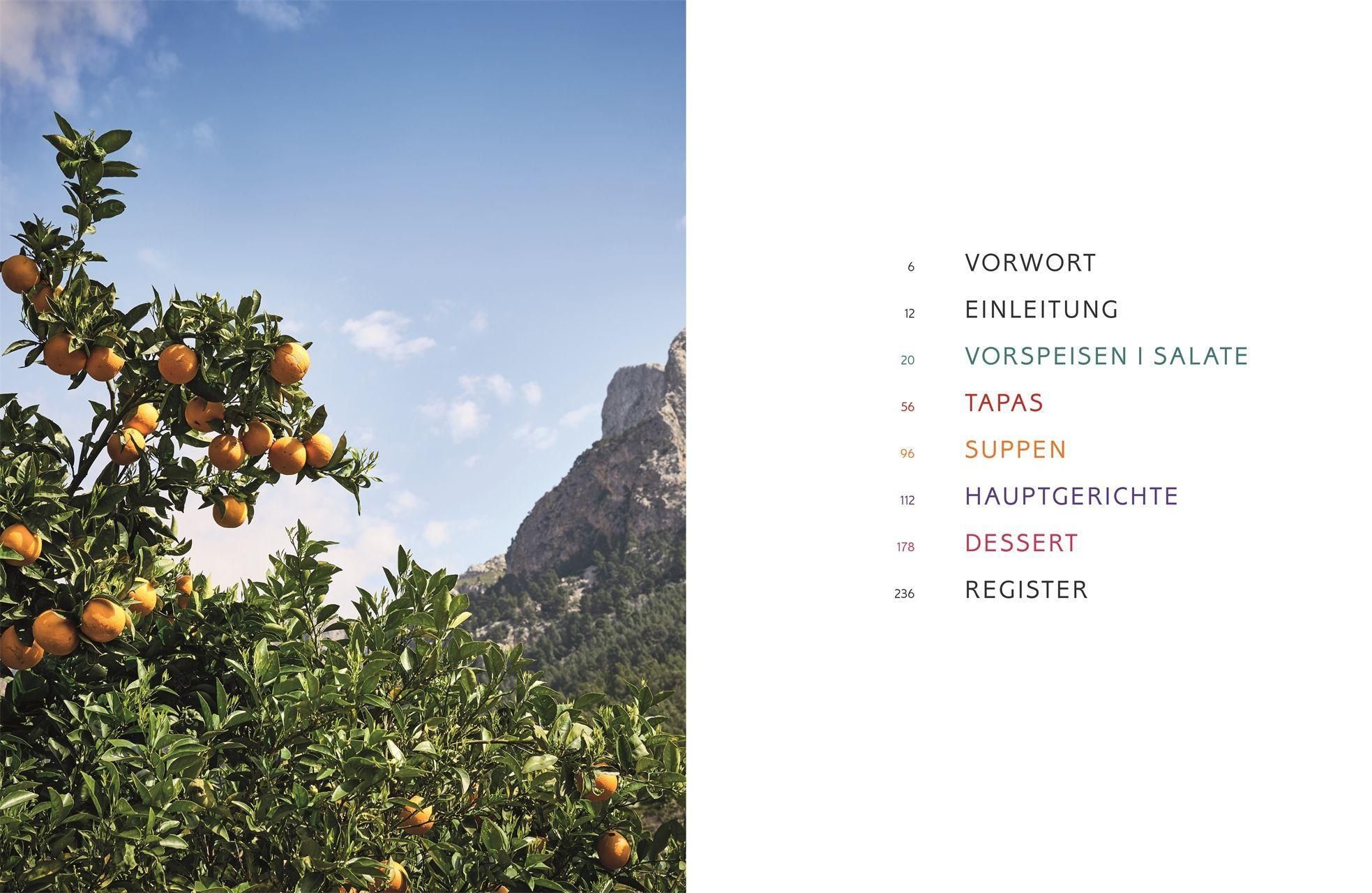Buchseite mit Inhaltsverzeichnis. Überschriften in verschiedenen Farben. Foto von Orangenbaum vor Berglandschaft.