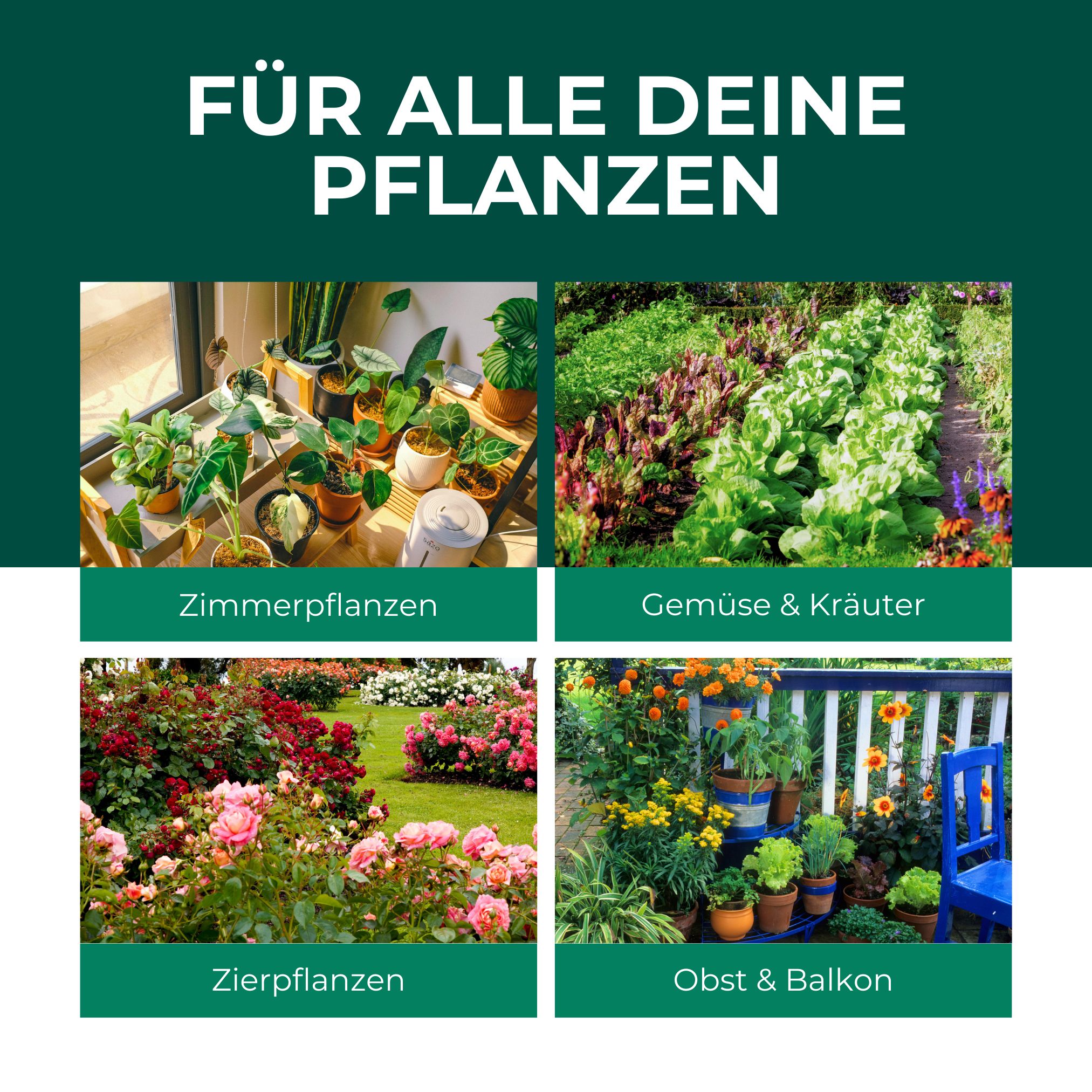 Grüner Hintergrund mit Text: FÜR ALLE DEINE PFLANZEN. Vier Bilder: Zimmerpflanzen, Gemüse & Kräuter, Zierpflanzen, Obst & Balkon.