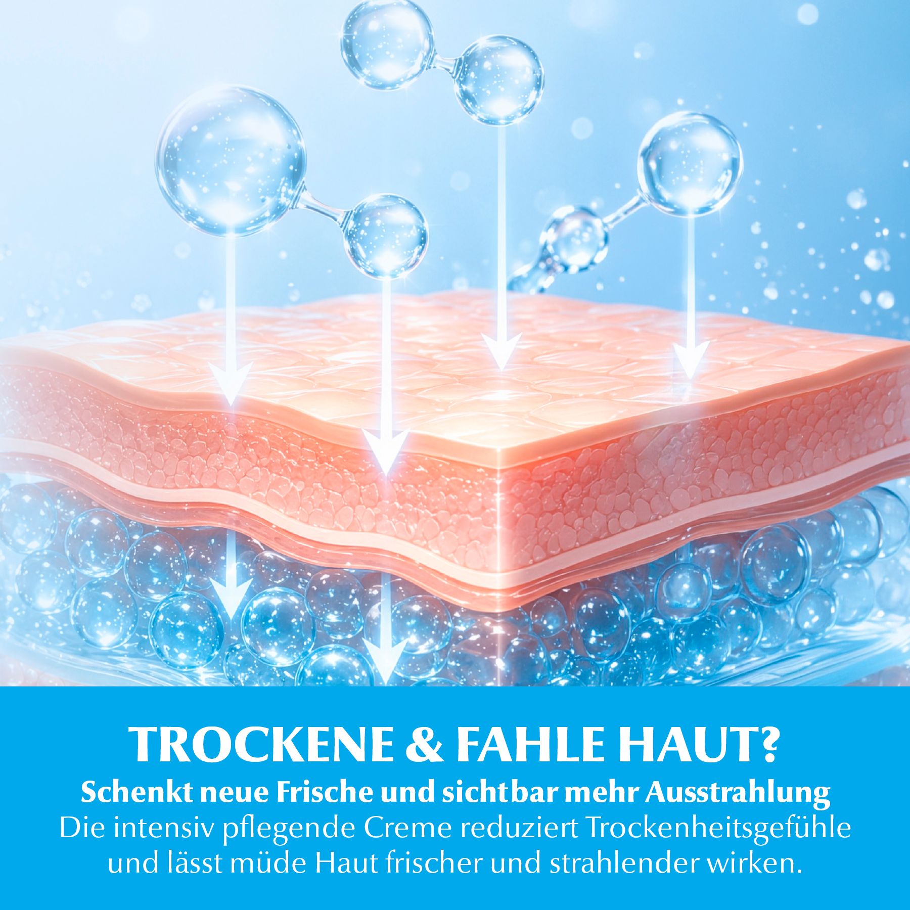 DR.RASHEL Tagescreme Hyaluron Gesichtscreme Hyaluronic Acid Moisturizer