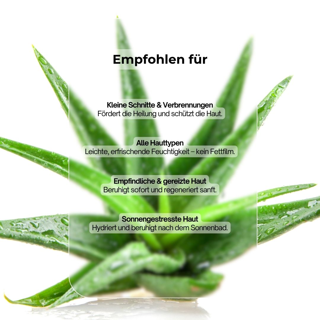 Aloe Vera Blätter mit Text. Text: Empfohlen für: kleine Schnitte, alle Hauttypen, empfindliche Haut, sonnengestresste Haut.