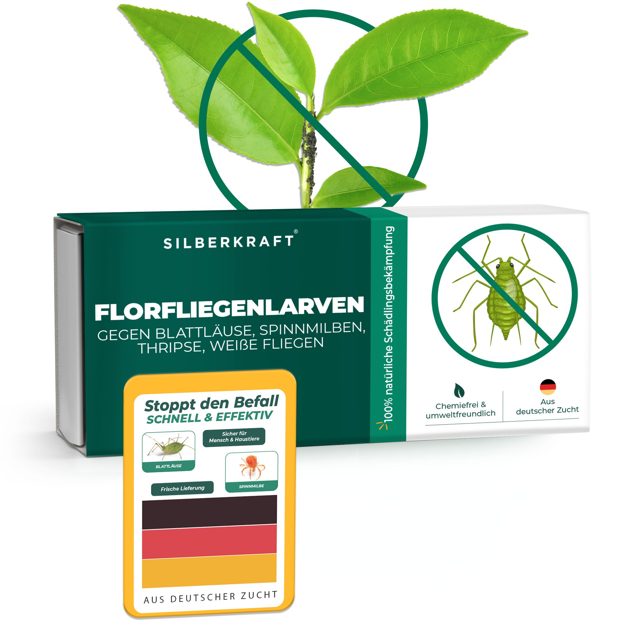 SILBERKRAFT Florfliegenlarven