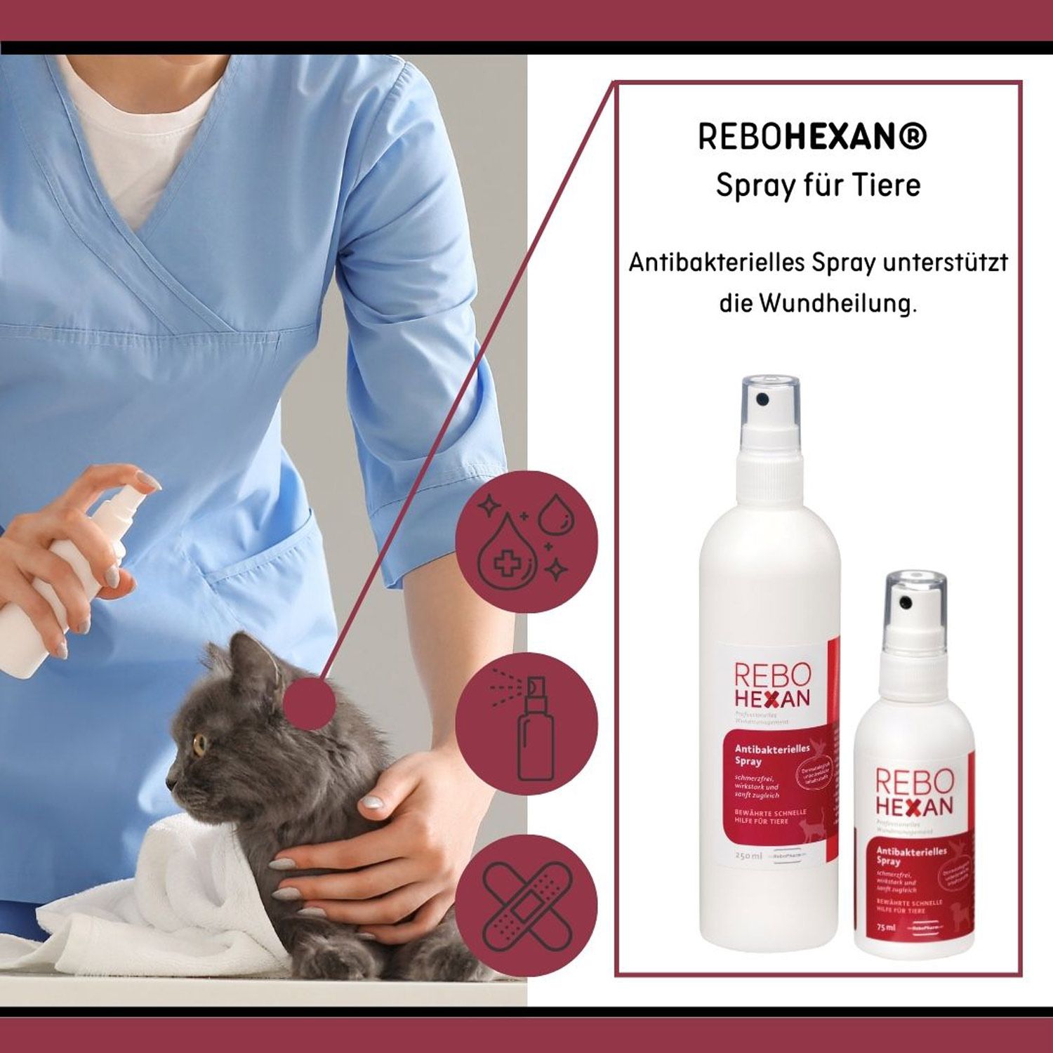 Tierpflegerin sprüht REBOHEXAN Spray auf eine Katze, daneben zwei Flaschen.