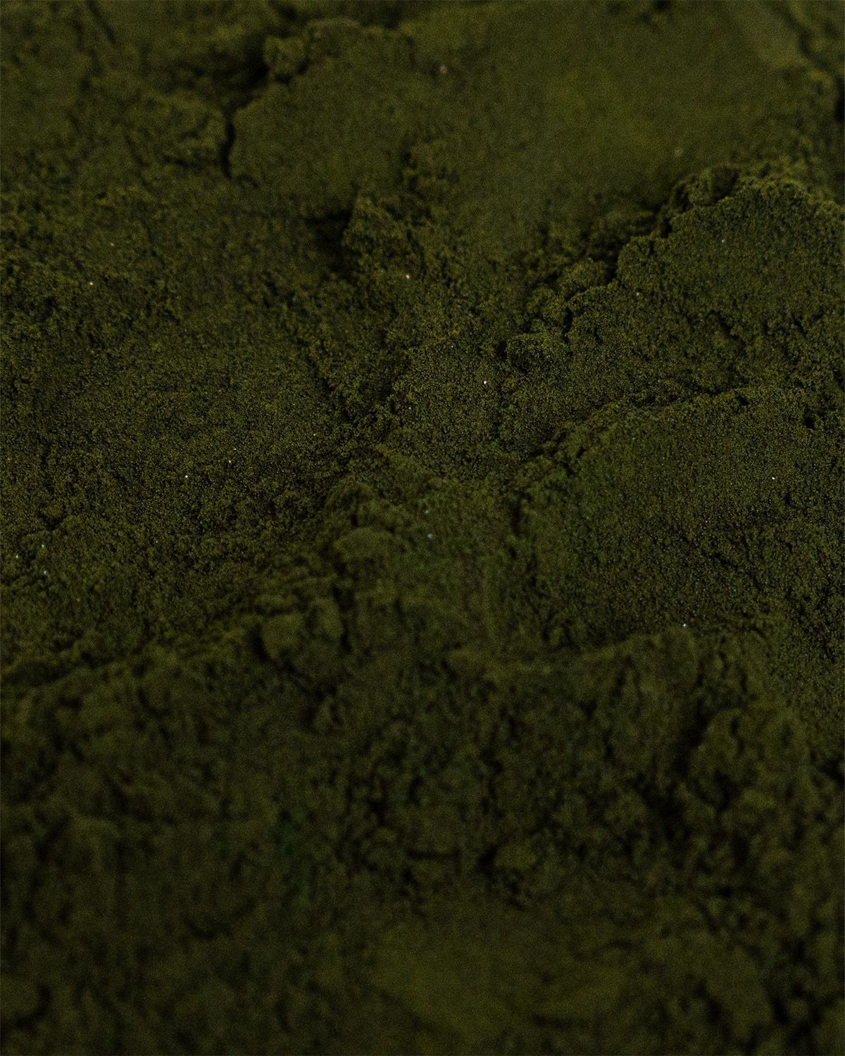 Nahaufnahme von grünem Chlorella Pulver. Textur sichtbar.
