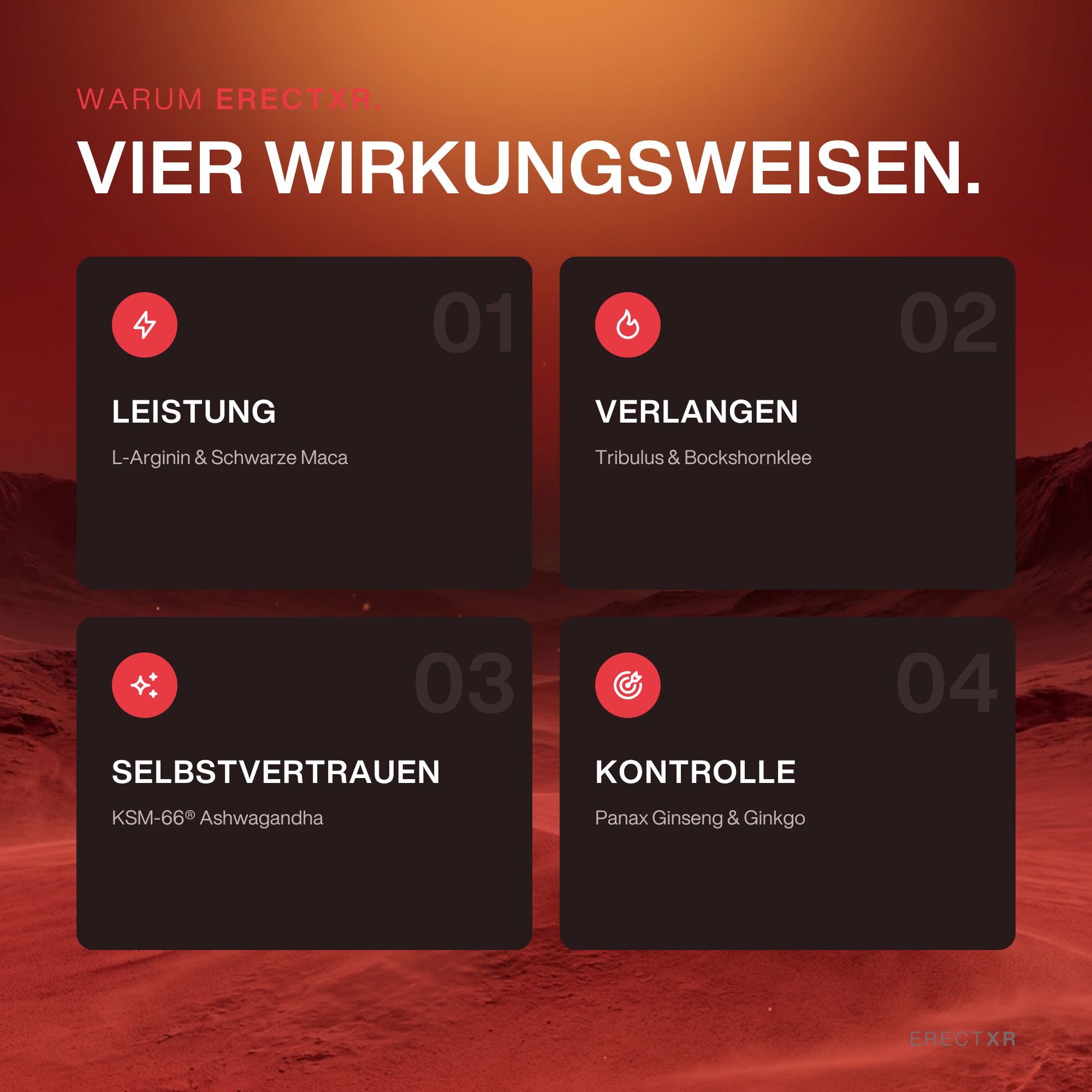 Erectify Nahrungsergänzungsmittel für Männer, 30 Kapseln.