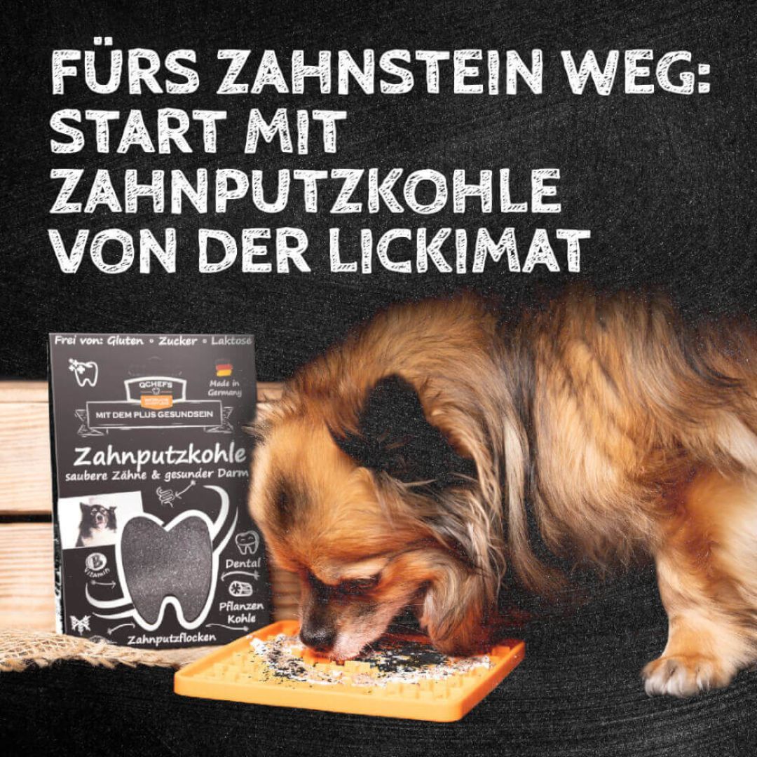 Hund frisst von einer Lickimat. Auf der Lickimat befindet sich Zahnputzkohle. Daneben eine Verpackung von Zahnputzkohle.