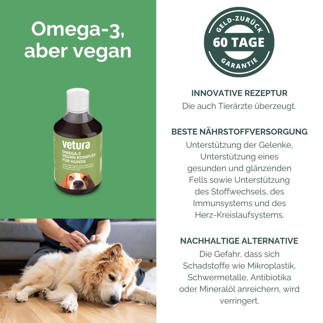 Produktflasche neben Text. Text: Omega-3, aber vegan. 60 Tage Garantie. Hund wird gestreichelt. Text über Nährstoffe.