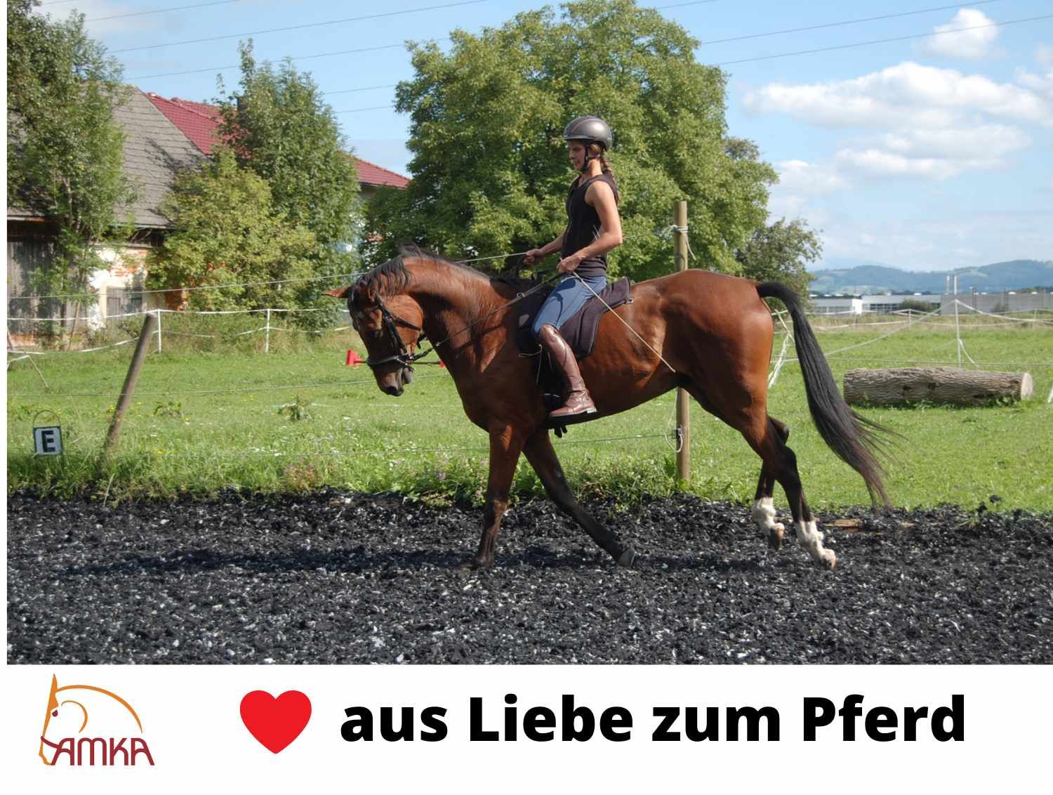 Reiterin auf einem Pferd. Text: AMKA, aus Liebe zum Pferd.