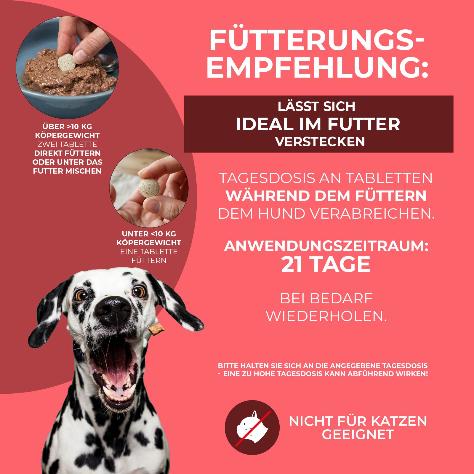 Hello Animal® Zeckilex Blister | Zecken Tabletten ausschließlich für Hunde