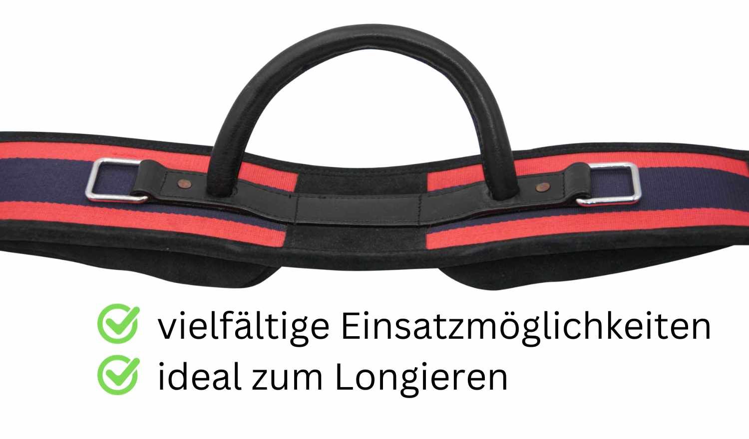 Longiergurt mit Handgriff, schwarz mit roten und blauen Streifen, ideal zum Longieren.