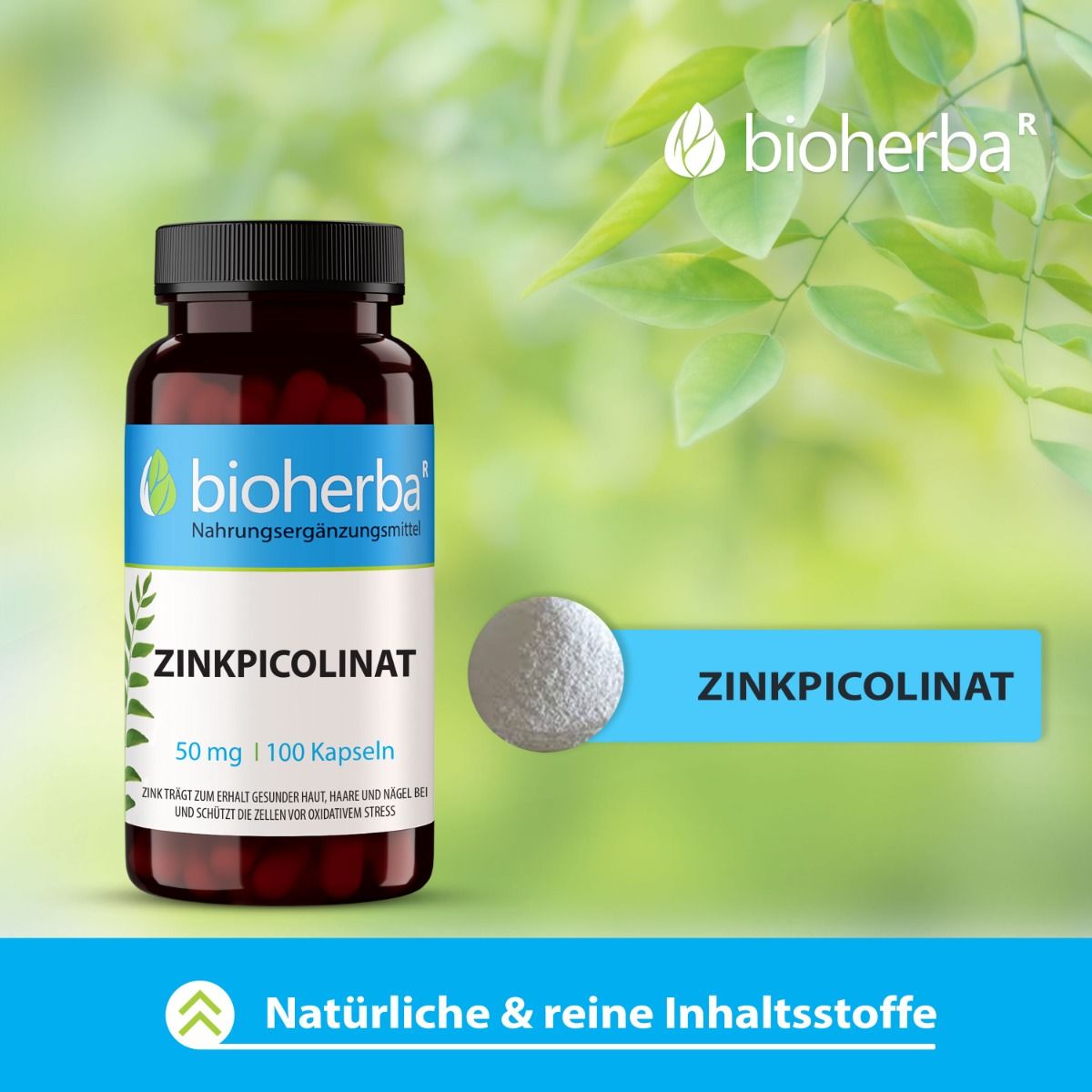 Braune Flasche mit schwarzen Deckel. Bioherba Zinkpicolinat, 50 mg | 100 Kapseln. Produkt und Zinkpicolinat-Pulver.